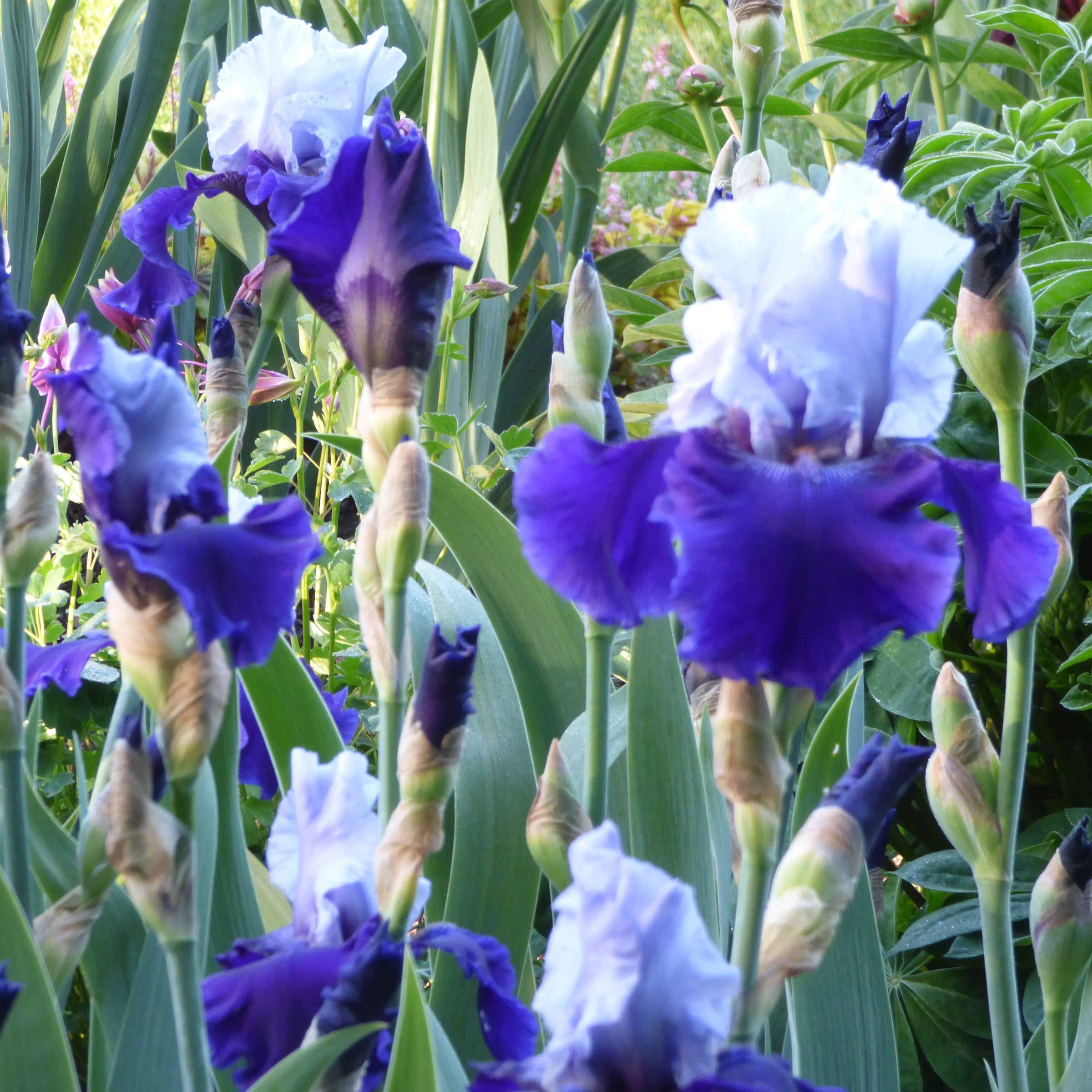 Enlarge Product Preview 4