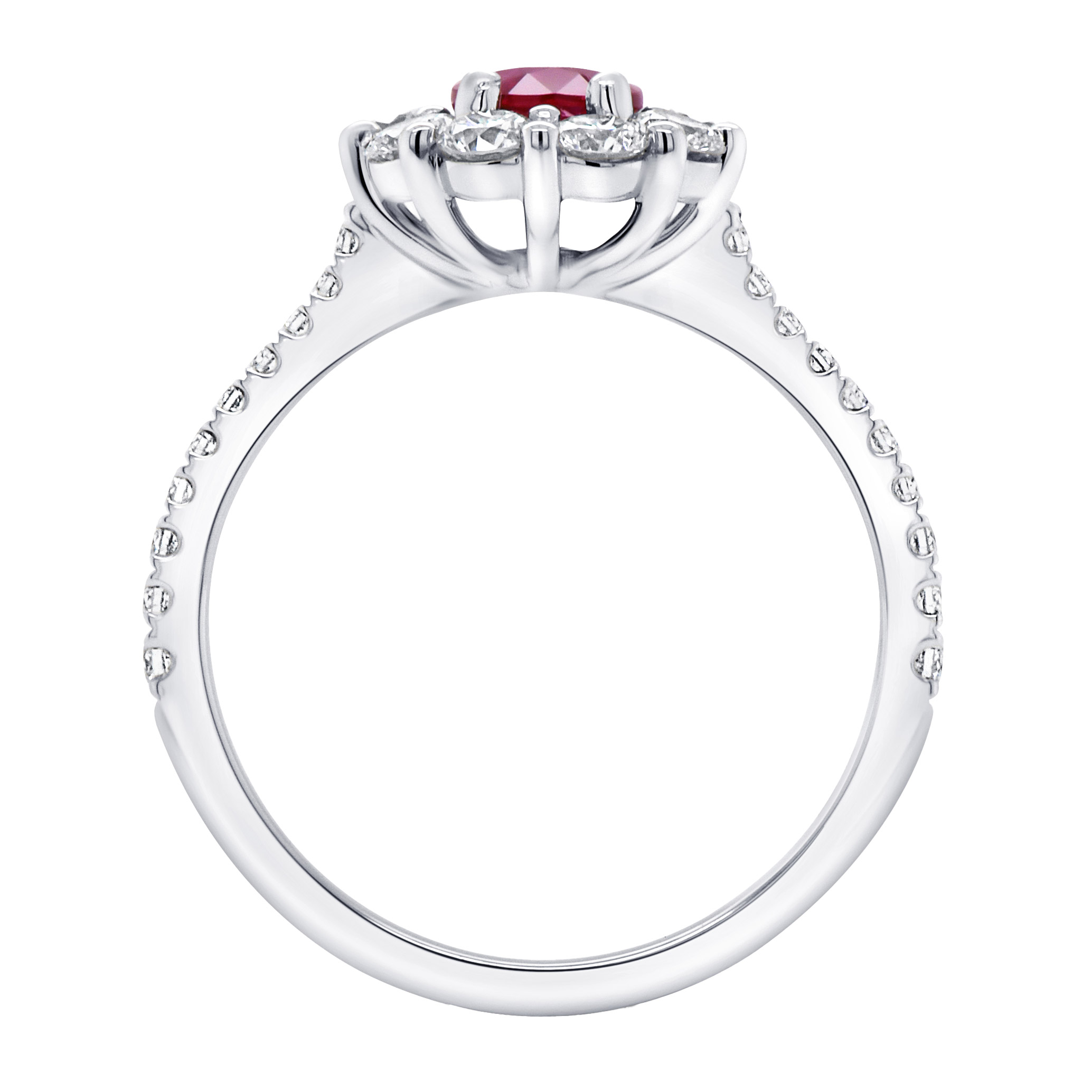 Enlarge Product Preview 3 Successfully Enriched by automation Job.