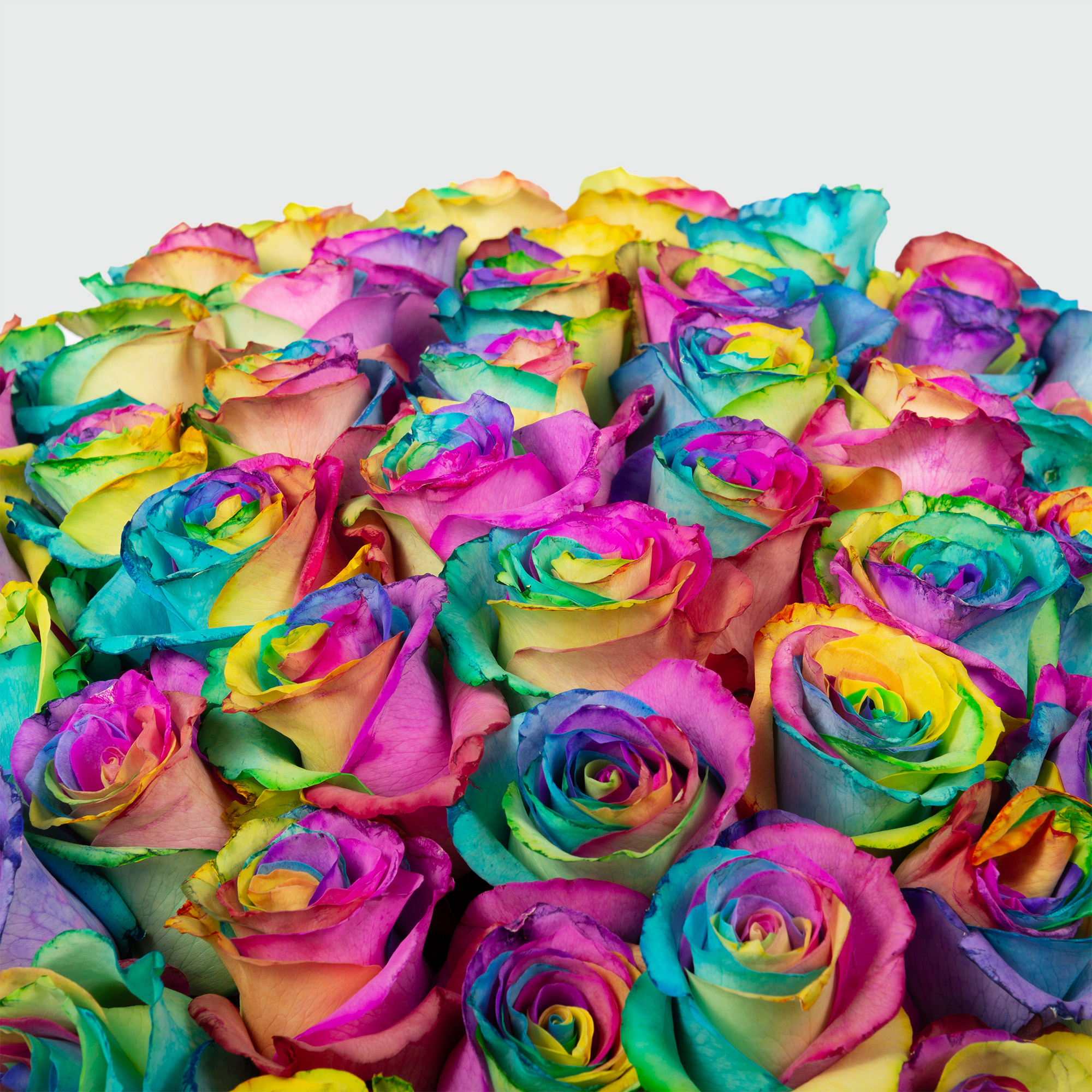 Enlarge Product Preview 3