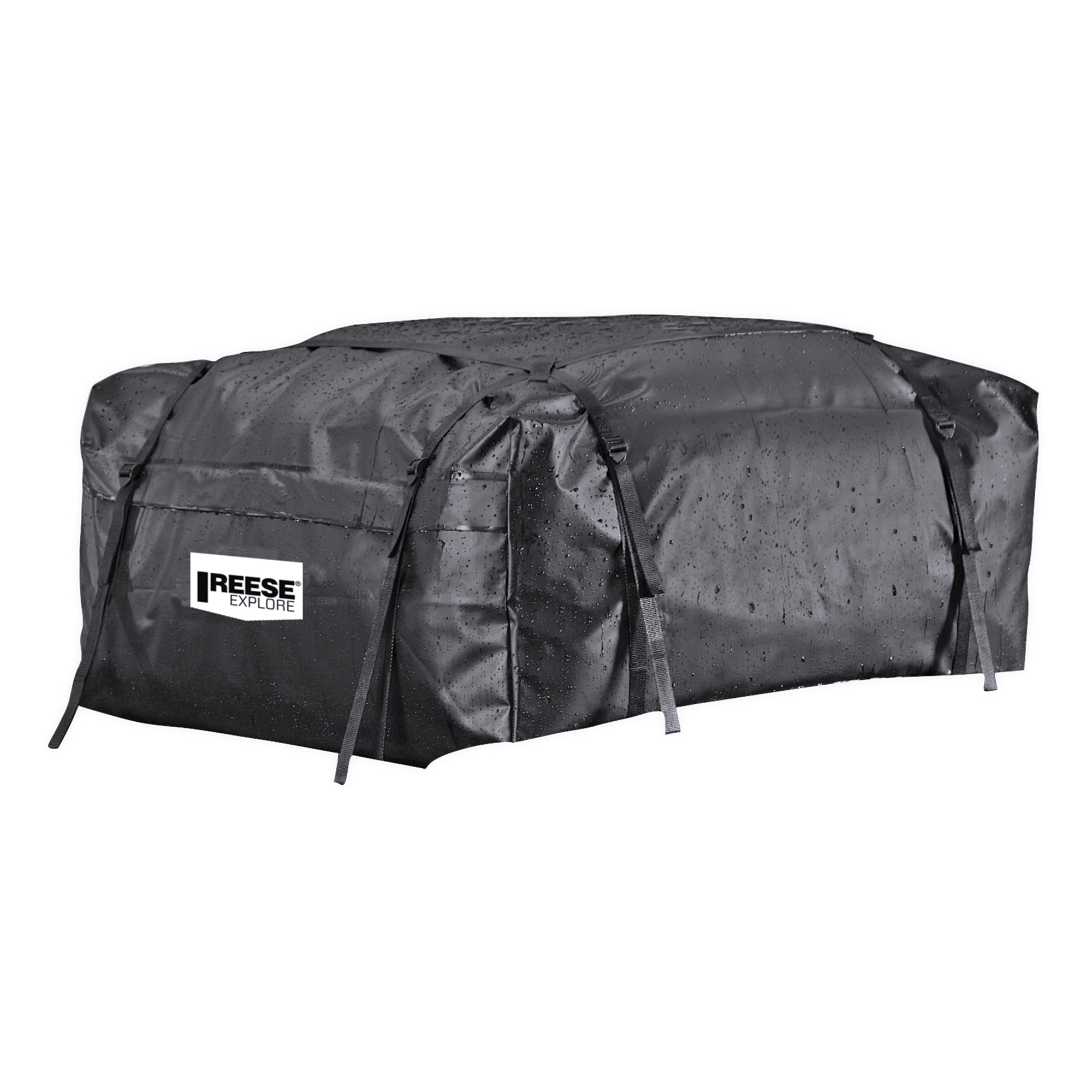 Reese Vehicle Rooftop Cargo Bundle Costco