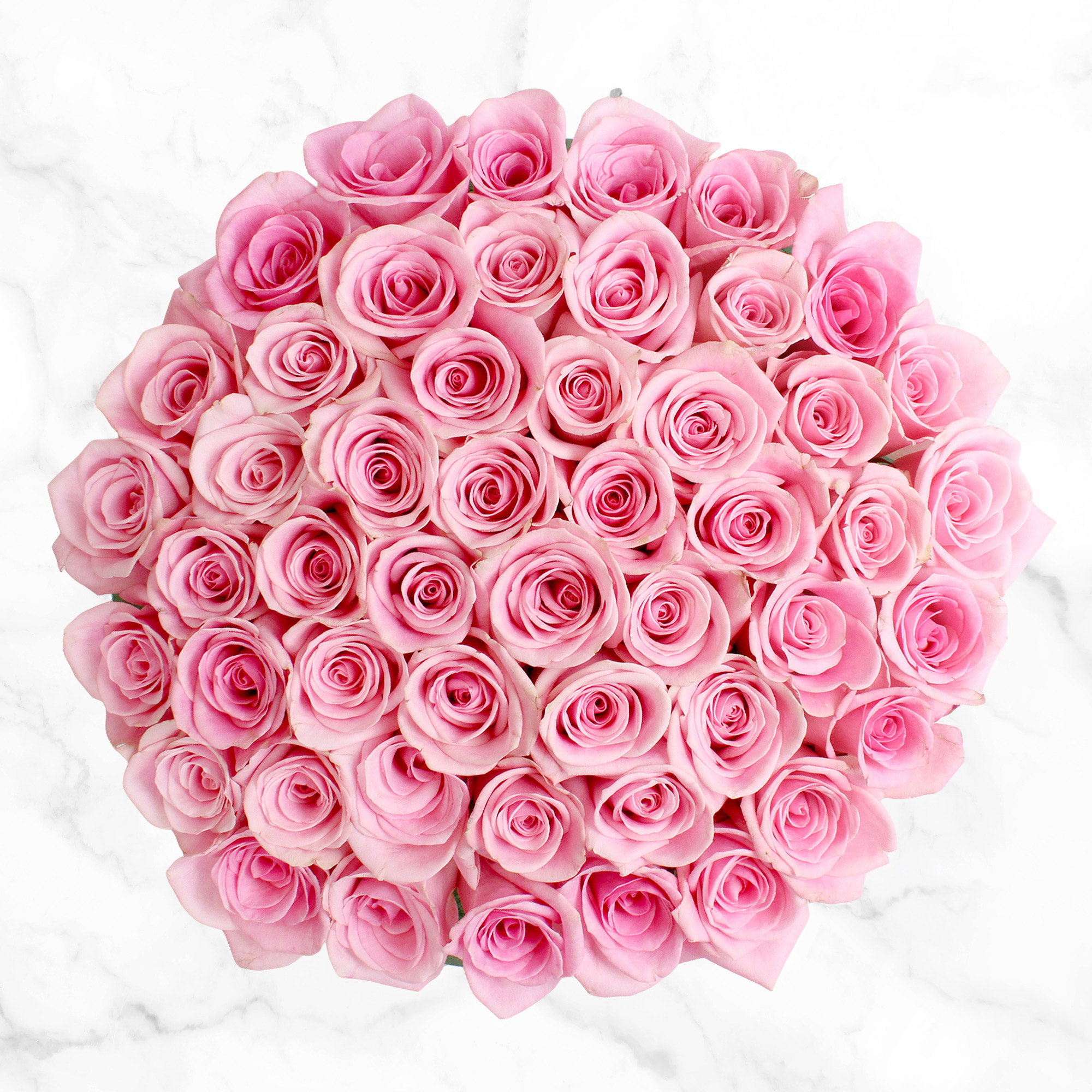 50-stem Light Pink Roses