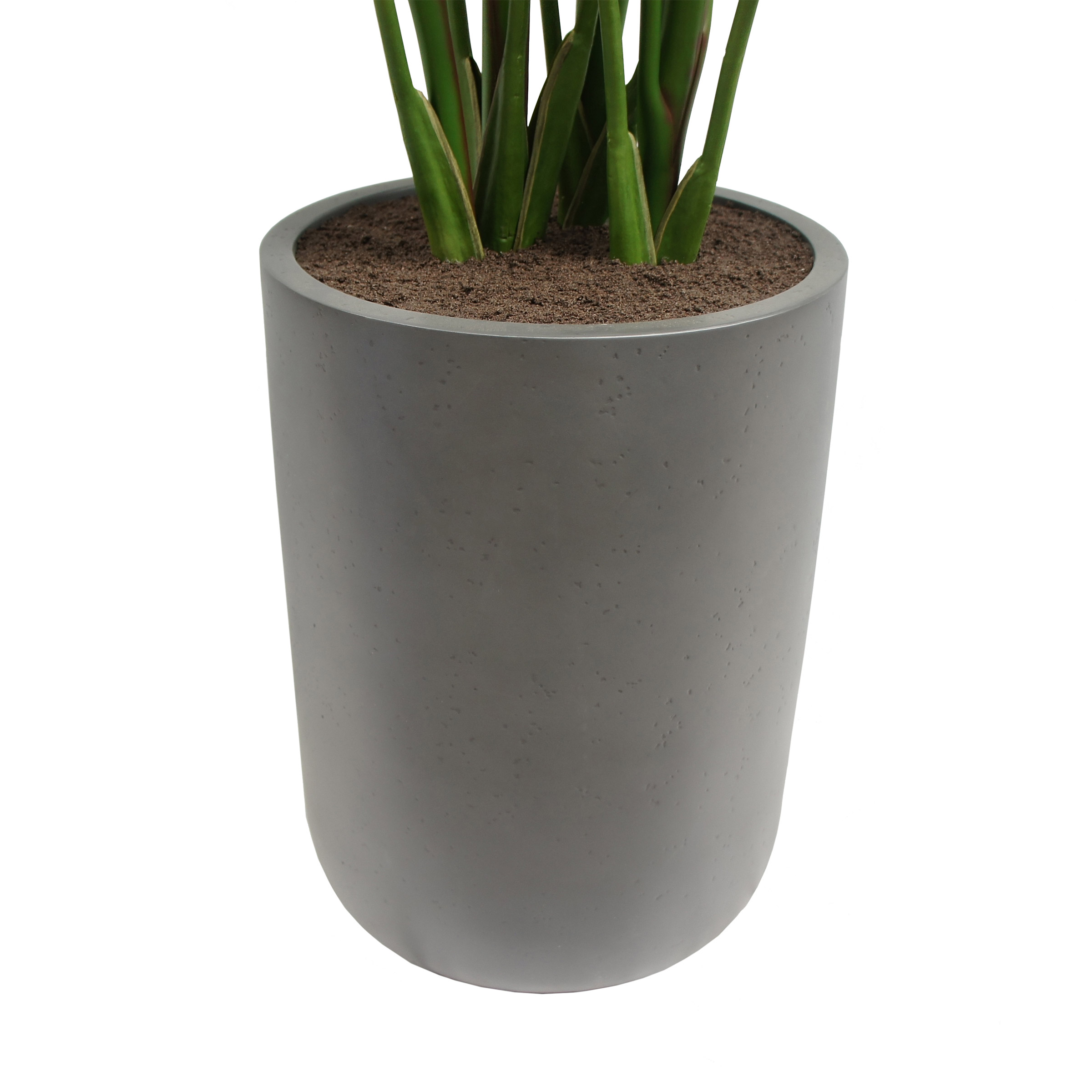 Enlarge Product Preview 5 Successfully Enriched by automation Job.