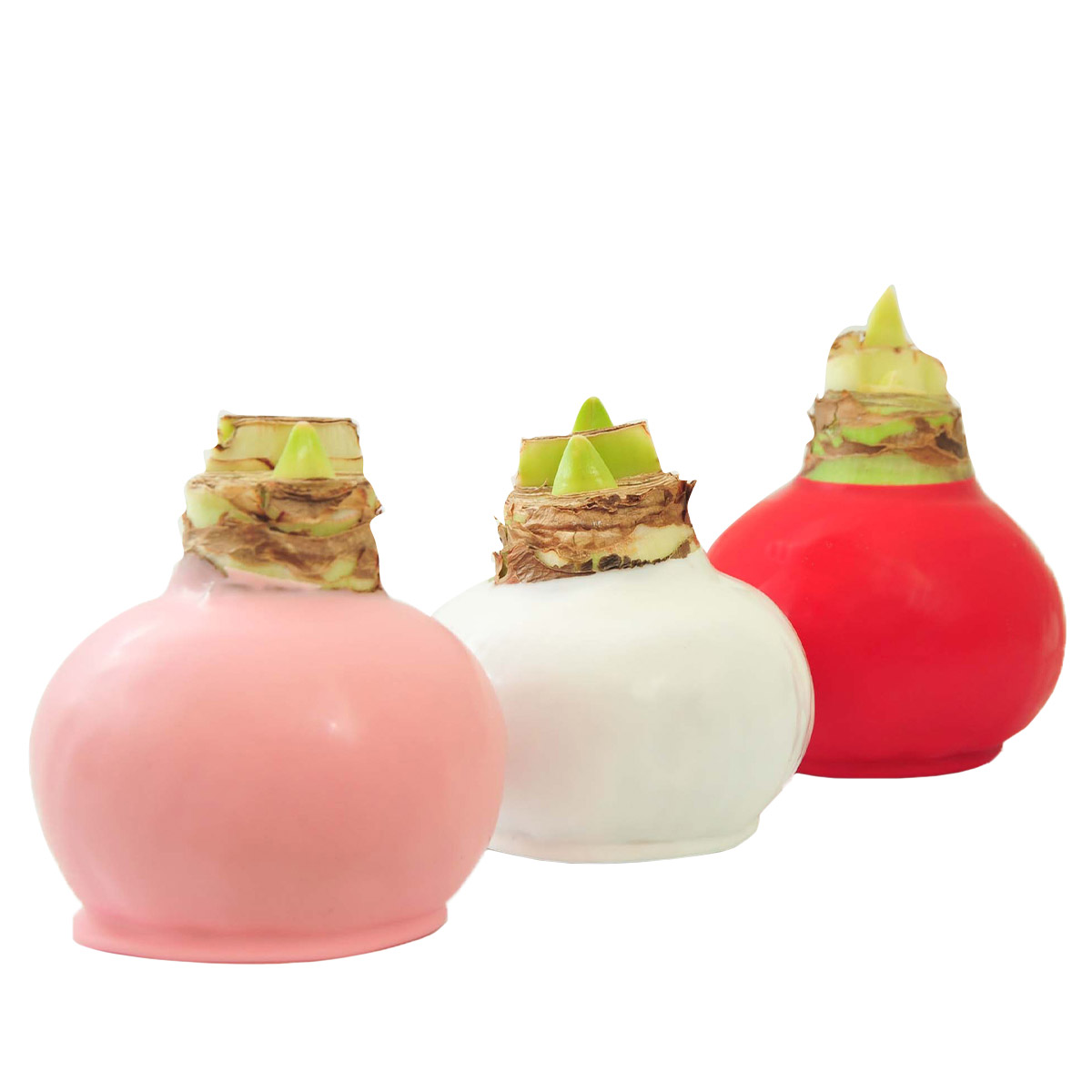 Enlarge Product Preview 2