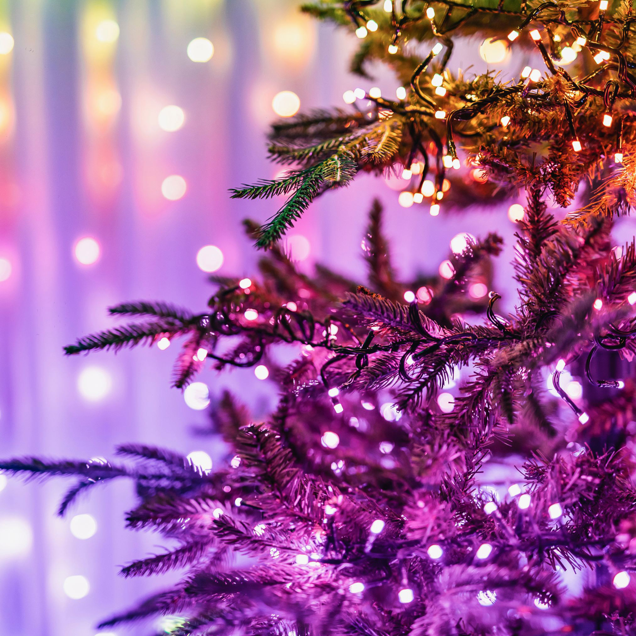 Enlarge Product Preview 5 Successfully Enriched by automation Job.