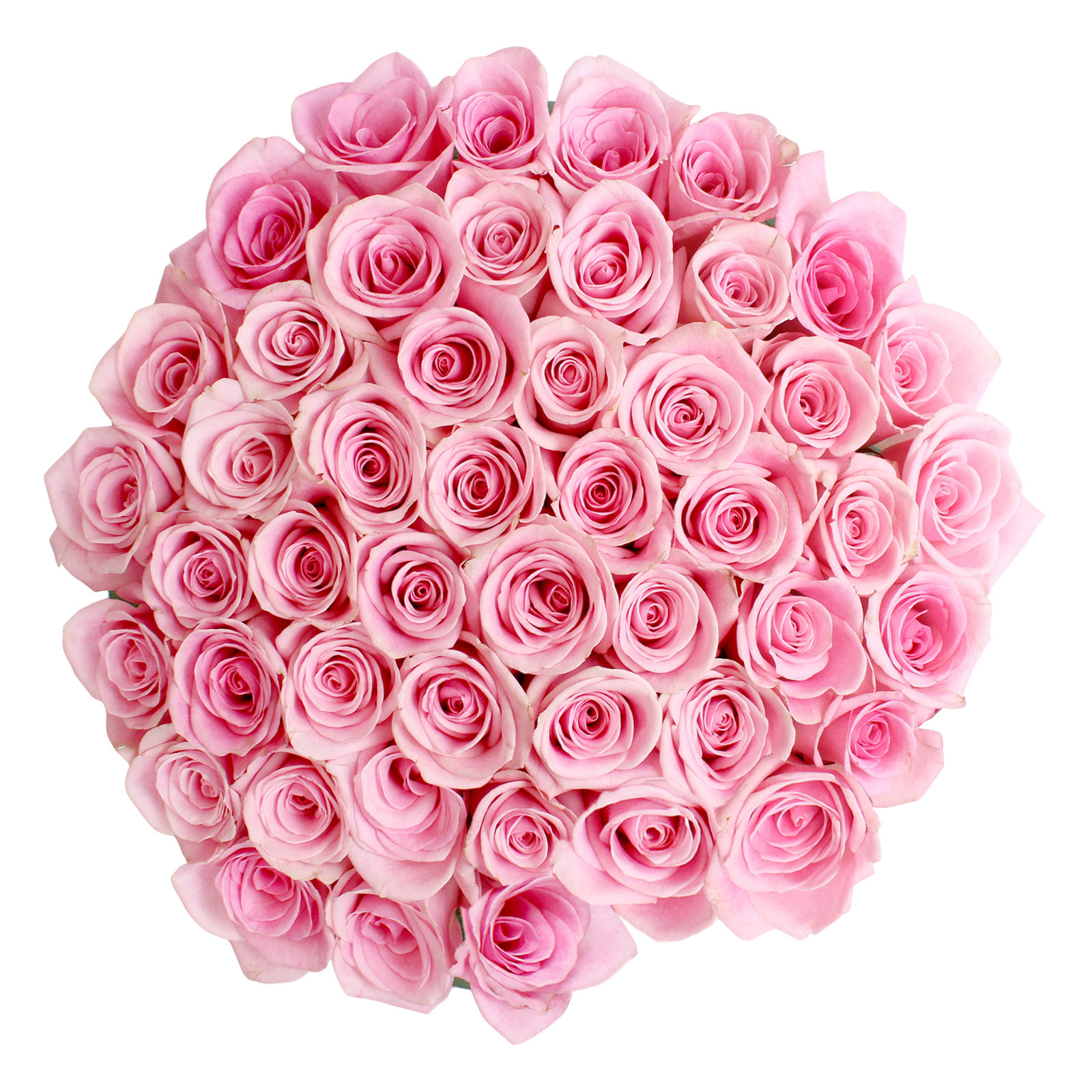 Roses, 48 Stems - Pink