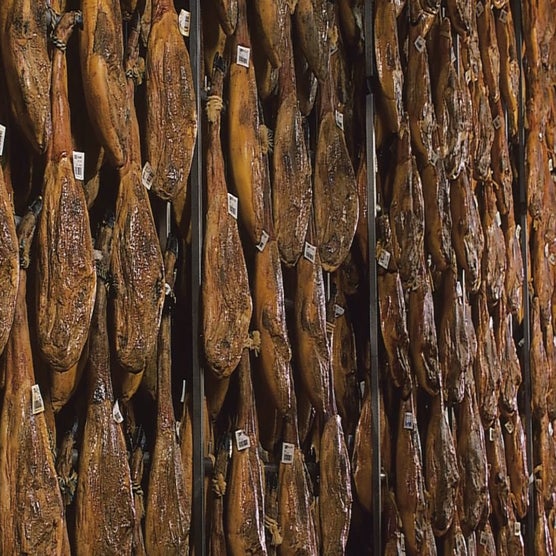 Play Product Video 1