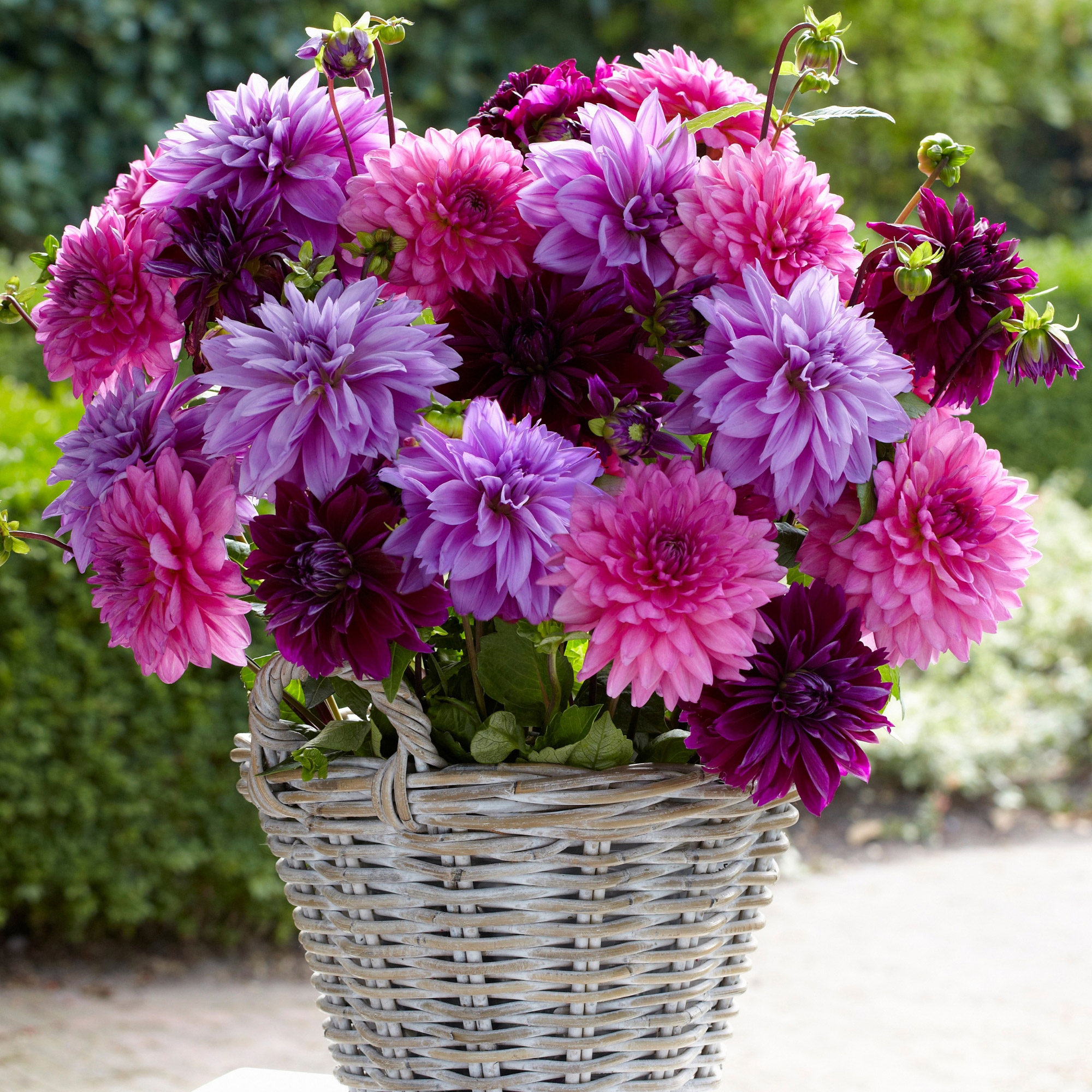 Enlarge Product Preview 2