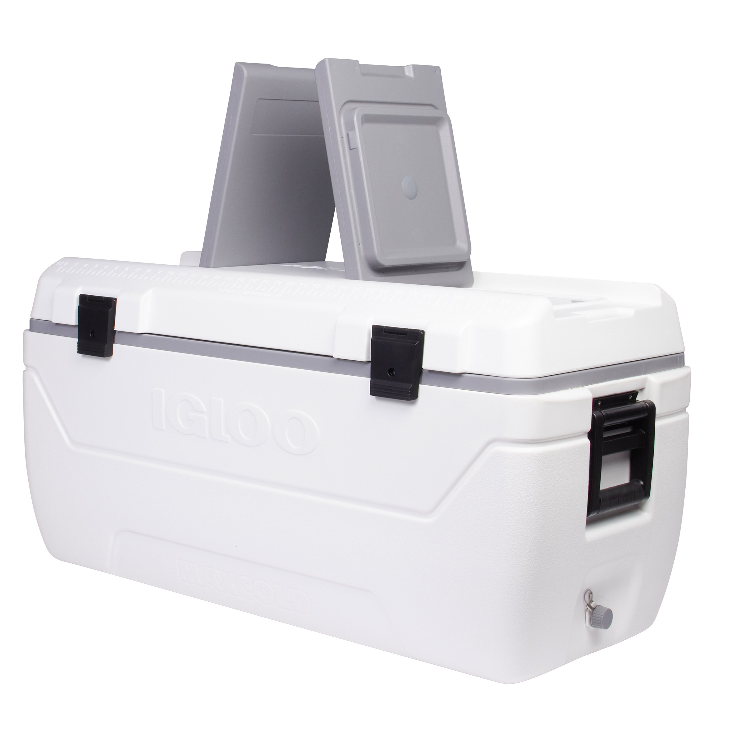Igloo 165-quart Maxcold Chest Cooler with Butterfly Quick Access 