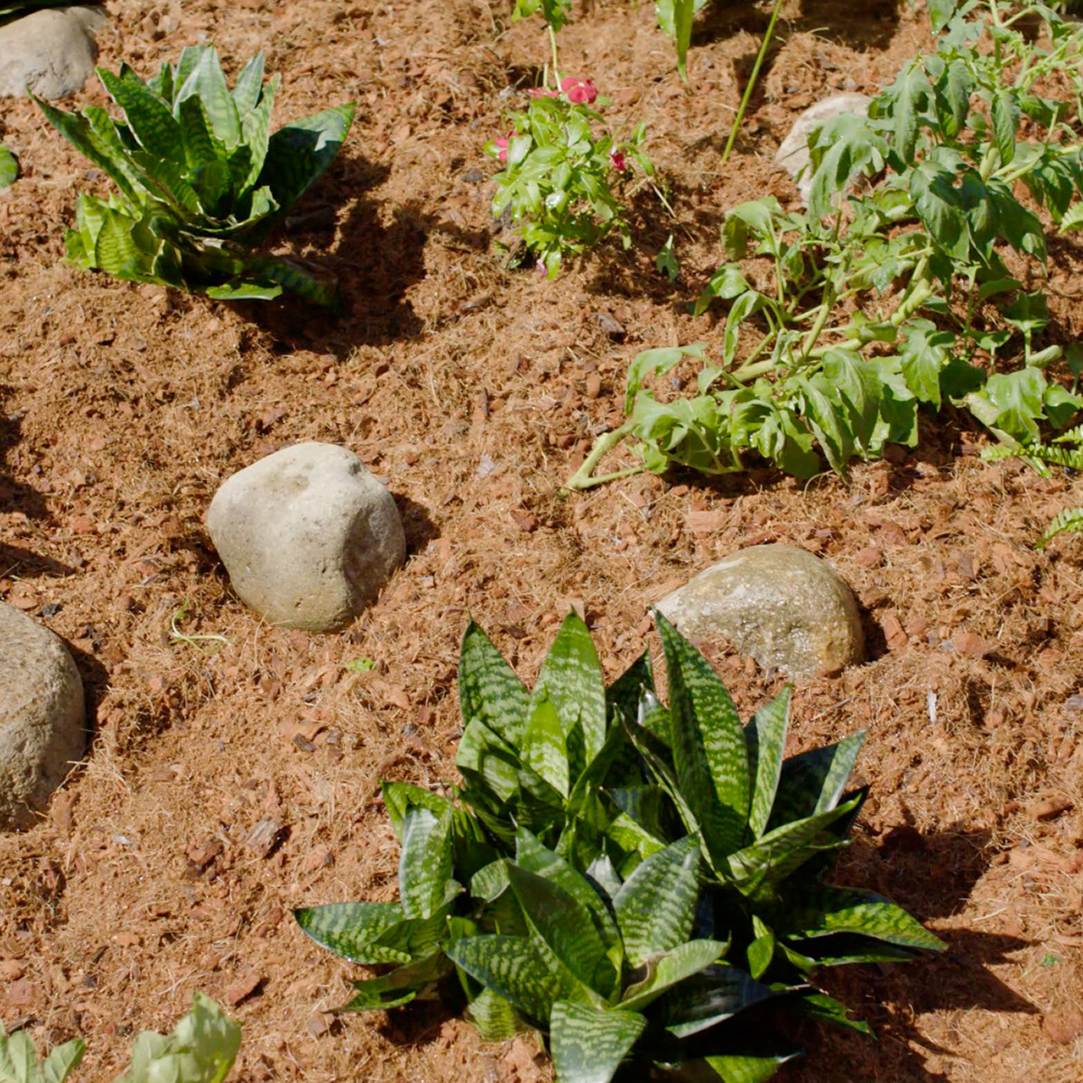 Enlarge Product Preview 3