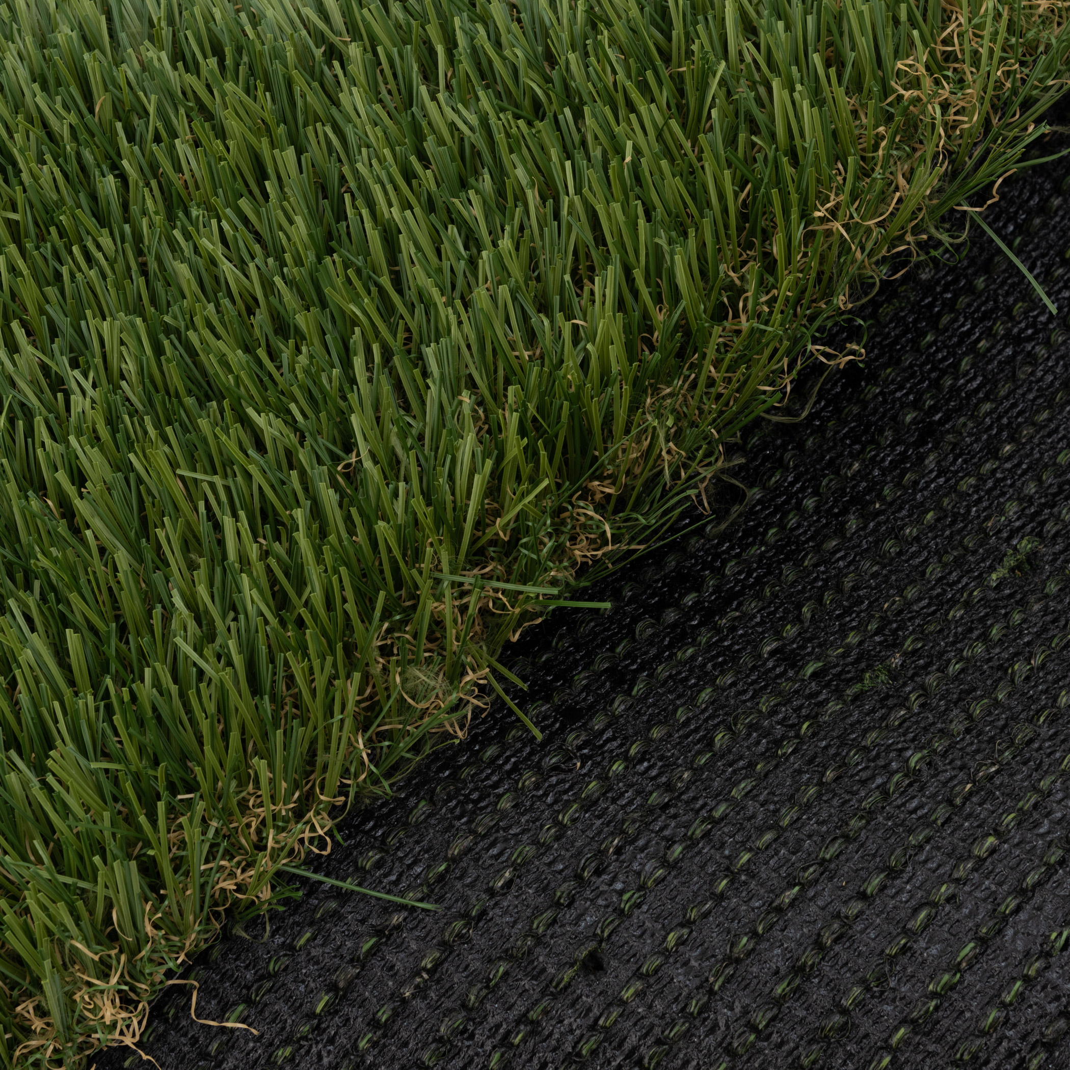 Enlarge Product Preview 3 Successfully Enriched by automation Job.