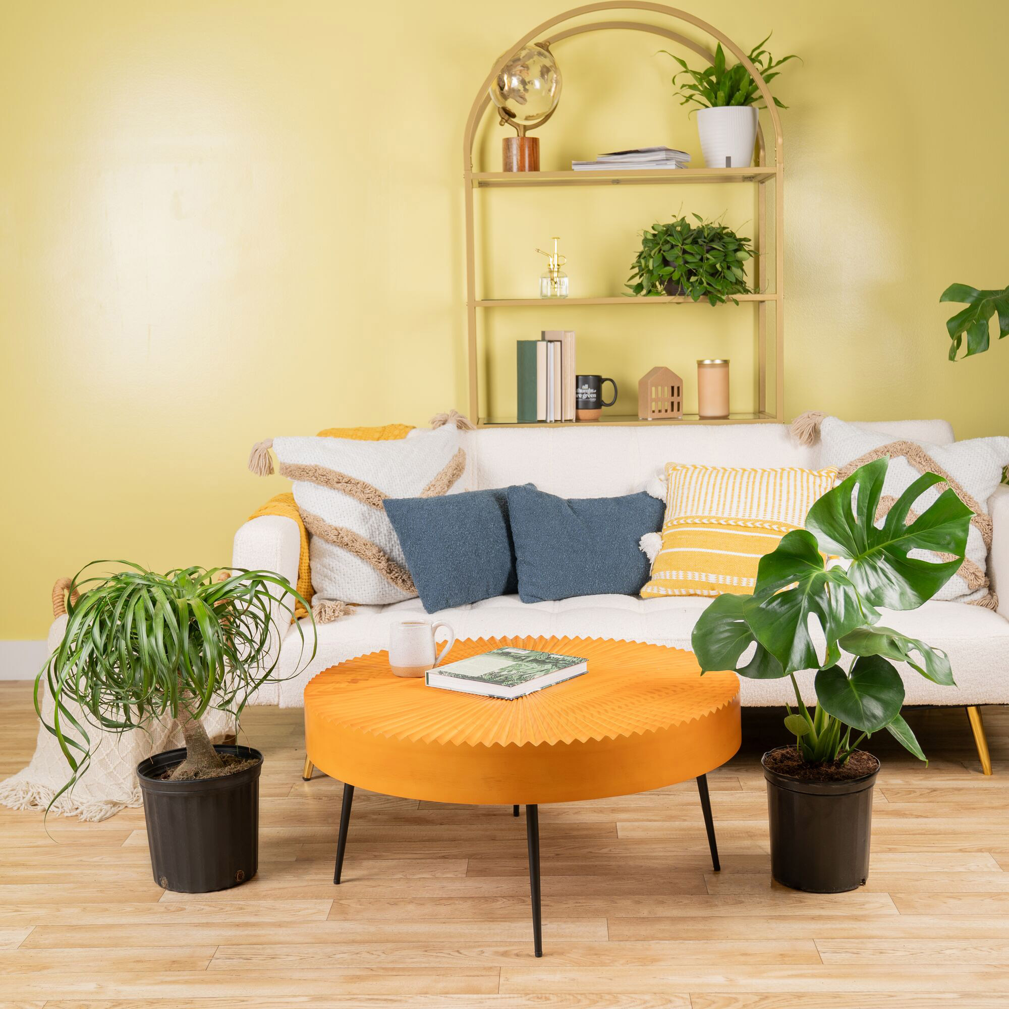 Enlarge Product Preview 2 Successfully Enriched by automation Job.