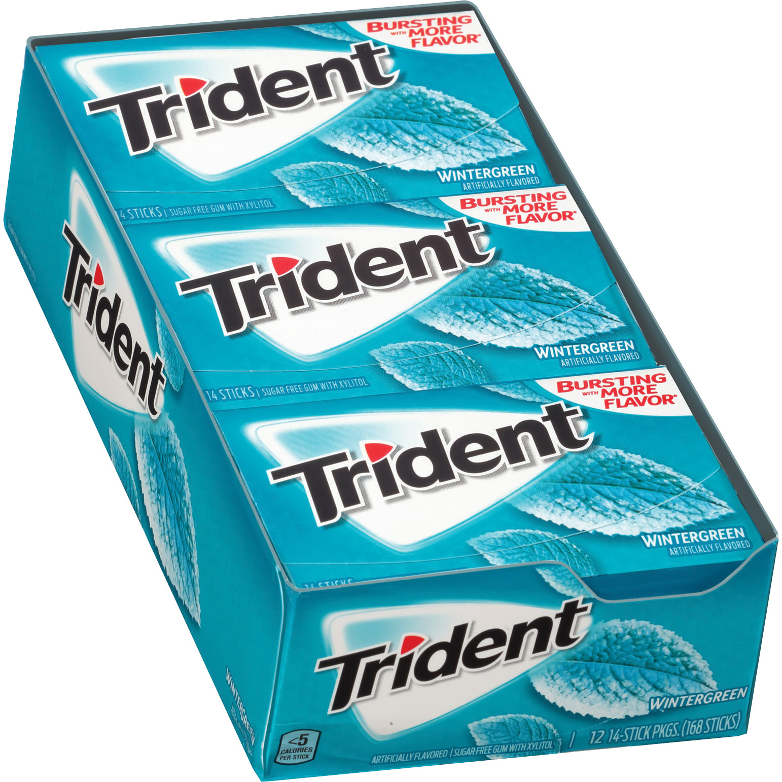 Trident Sugar Free Gum  Wintergreen  14 Sticks  12-count