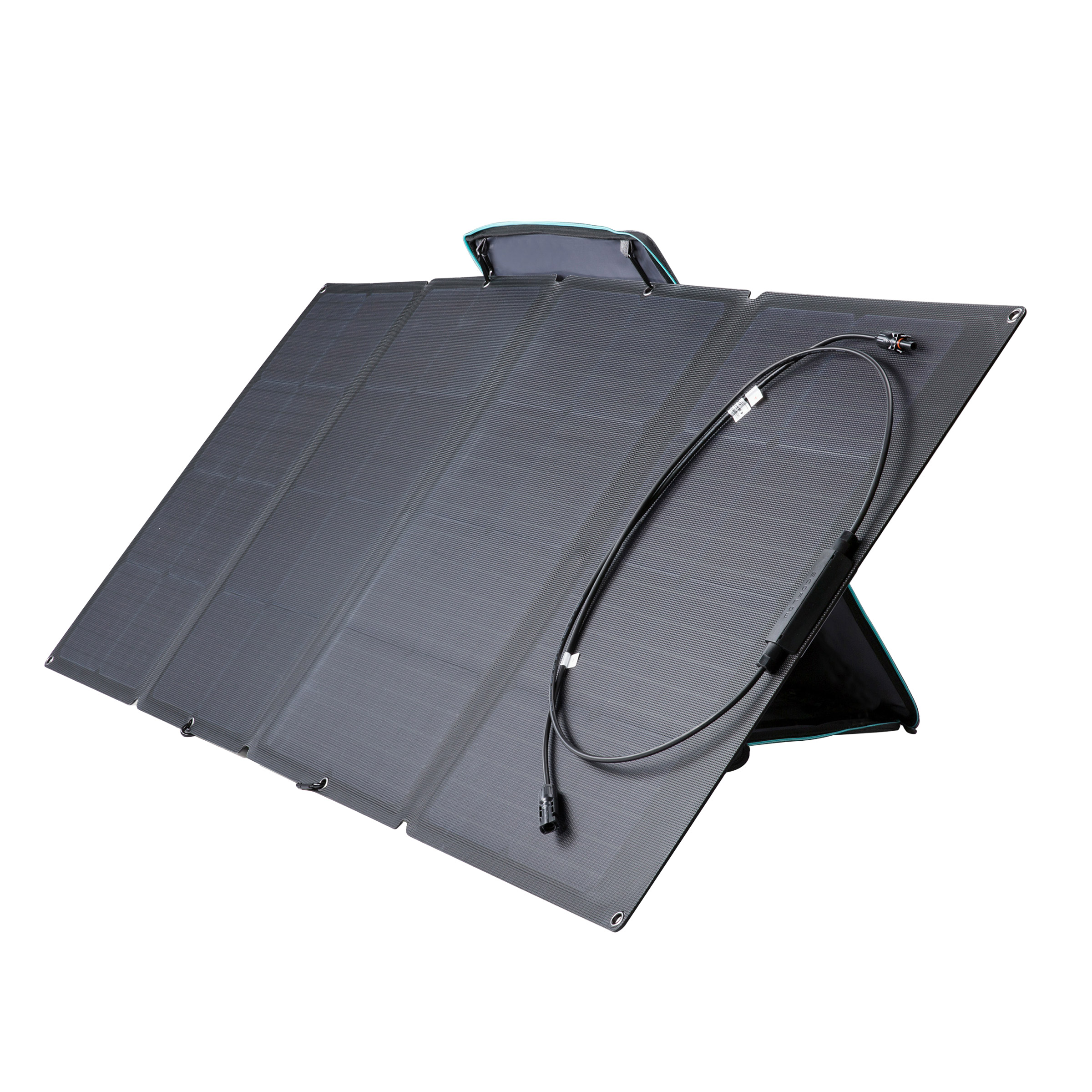 EcoFlow 160W Solar Panel | Costco