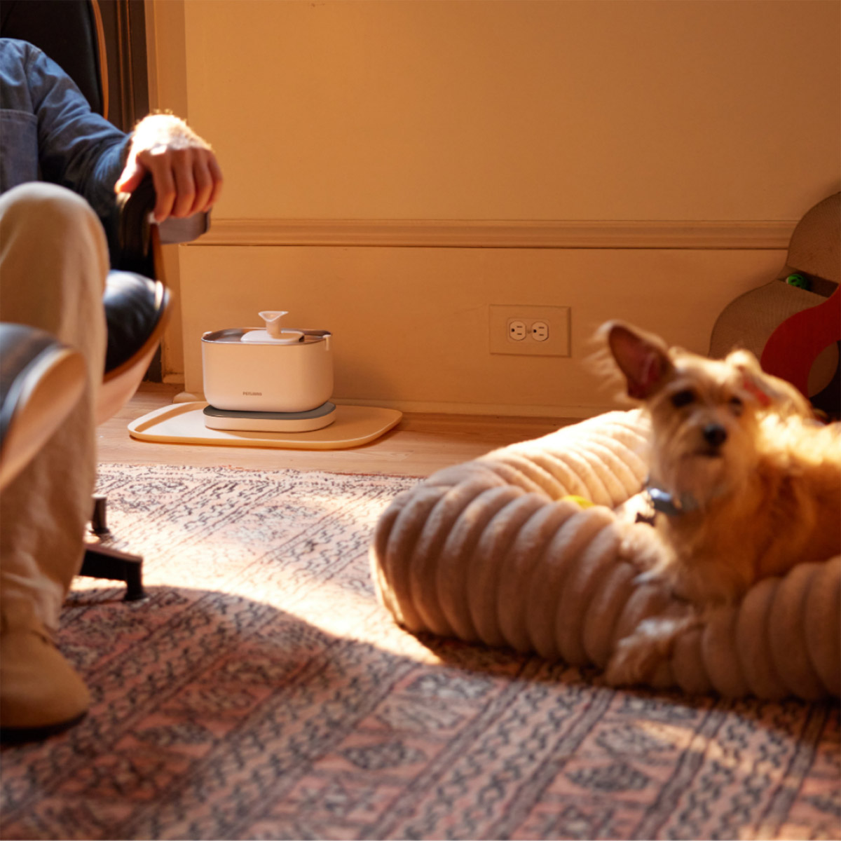 Enlarge Product Preview 3 Successfully Enriched by automation Job.