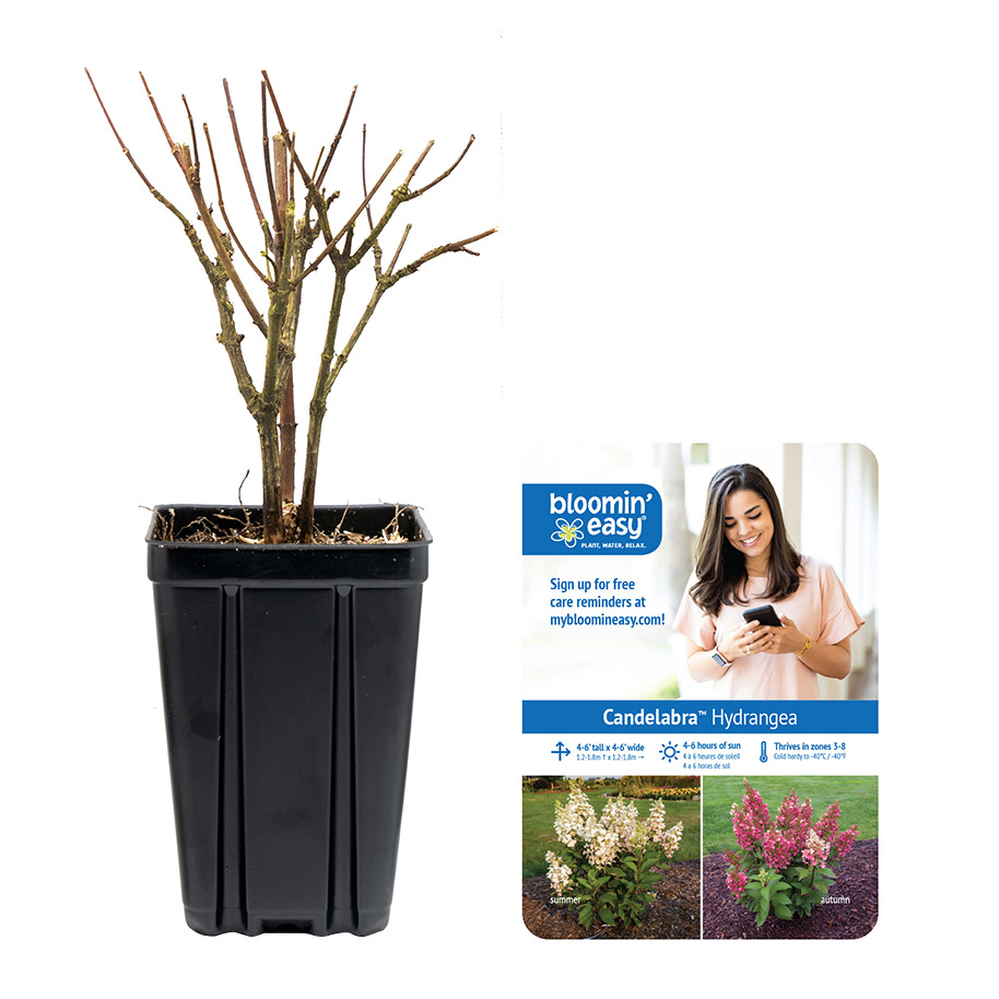 Enlarge Product Preview 8