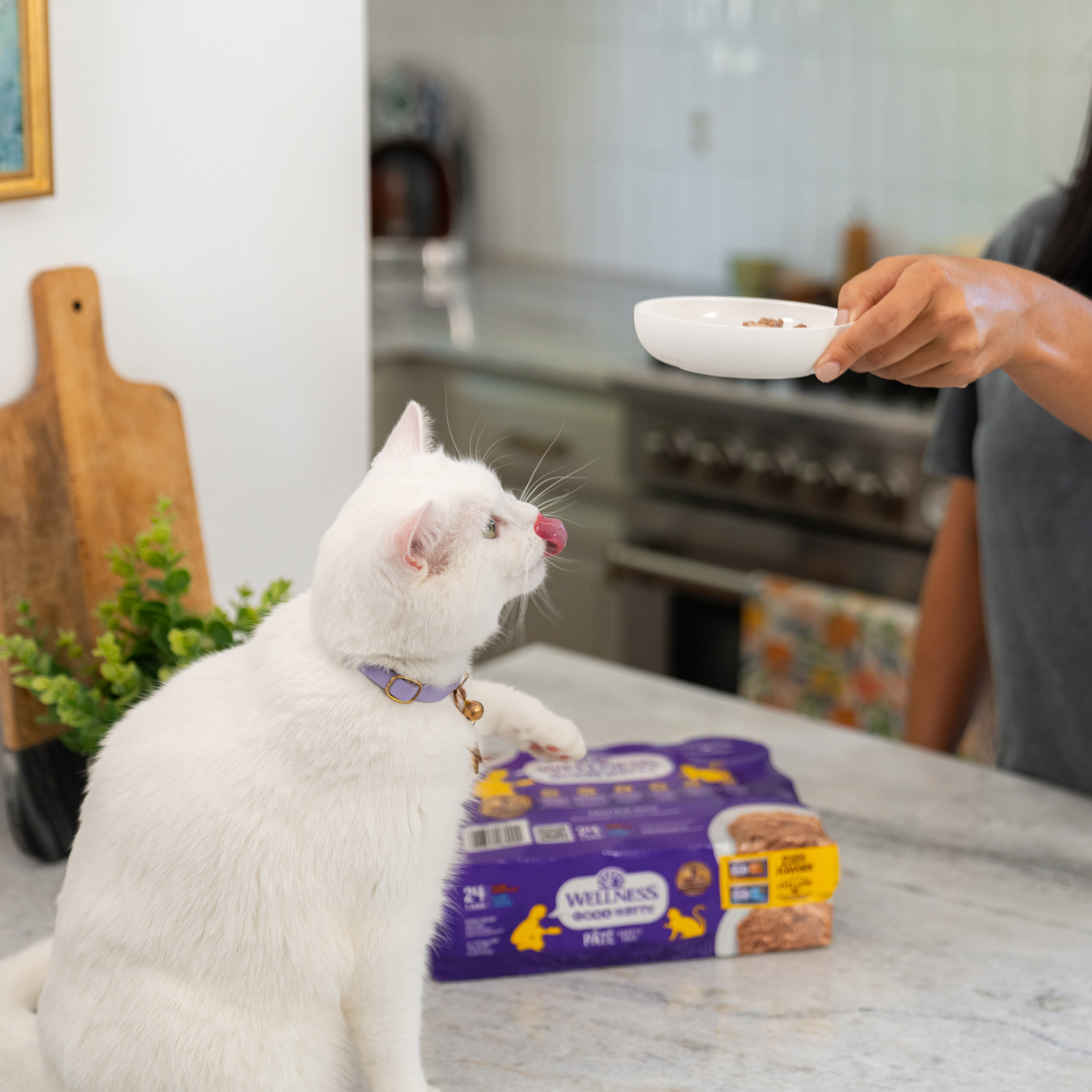 Enlarge Product Preview 6