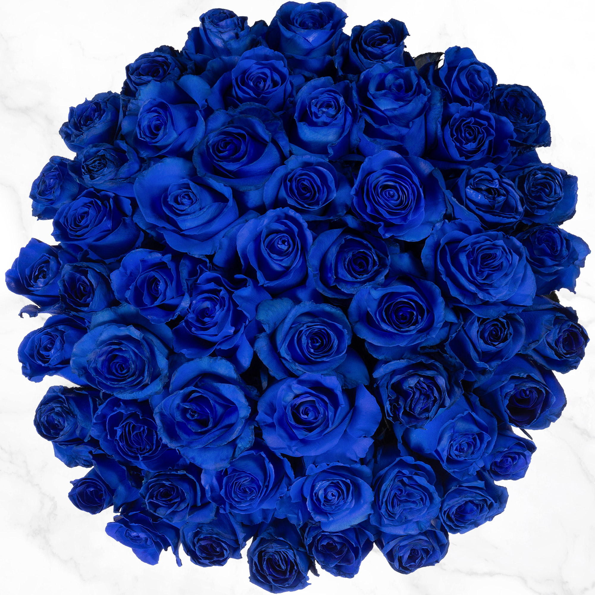 BLUE ROSEです 50-stem Blue Roses | Costco