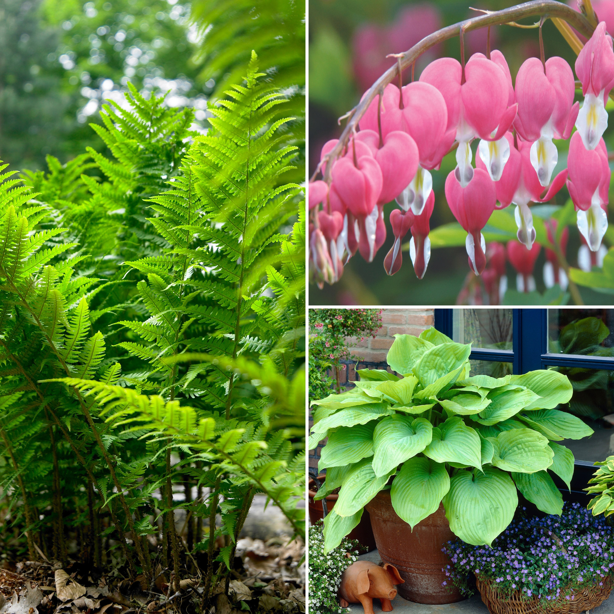 Enlarge Product Preview 12