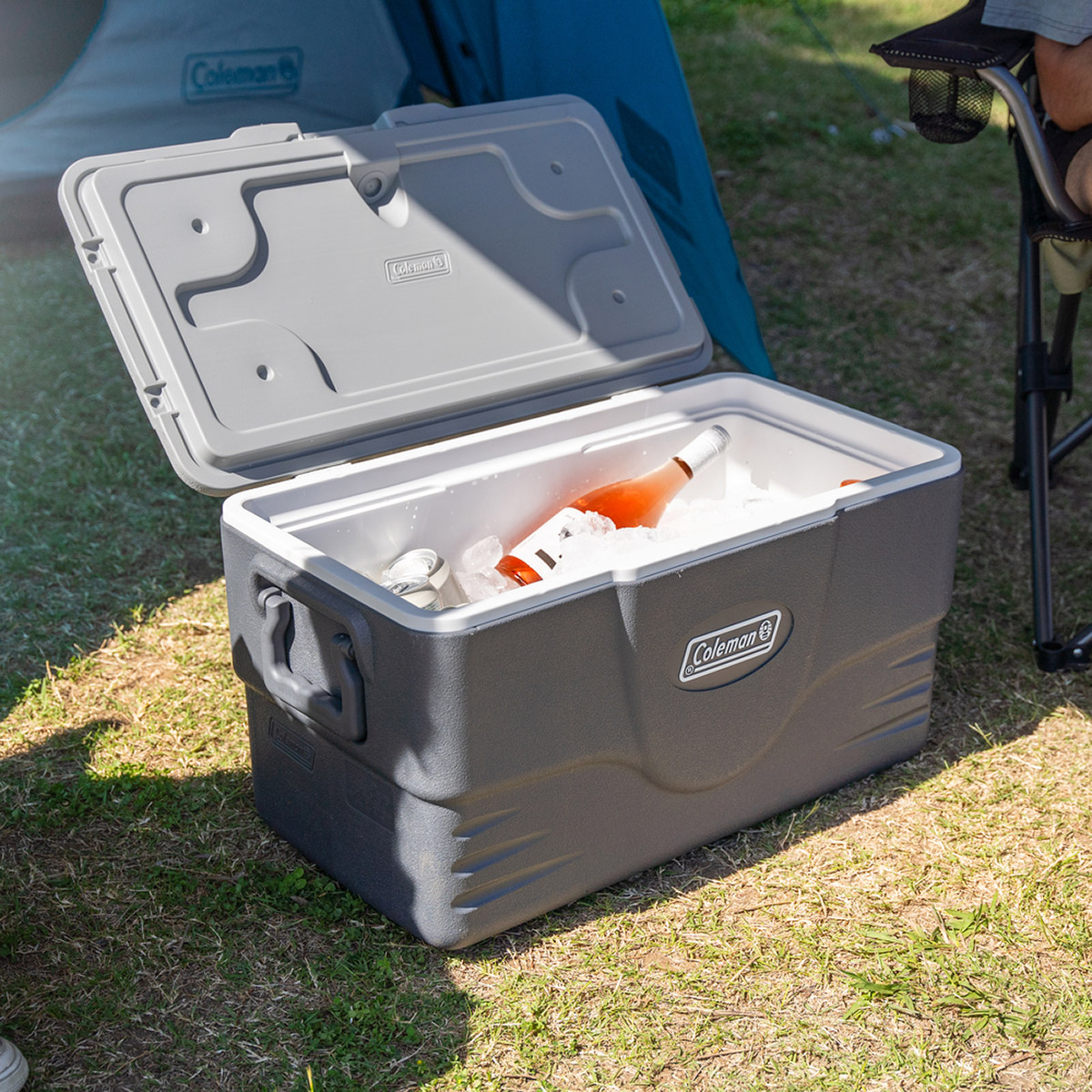 Coleman - Daintree 44L / 46QT Cooler | Costco