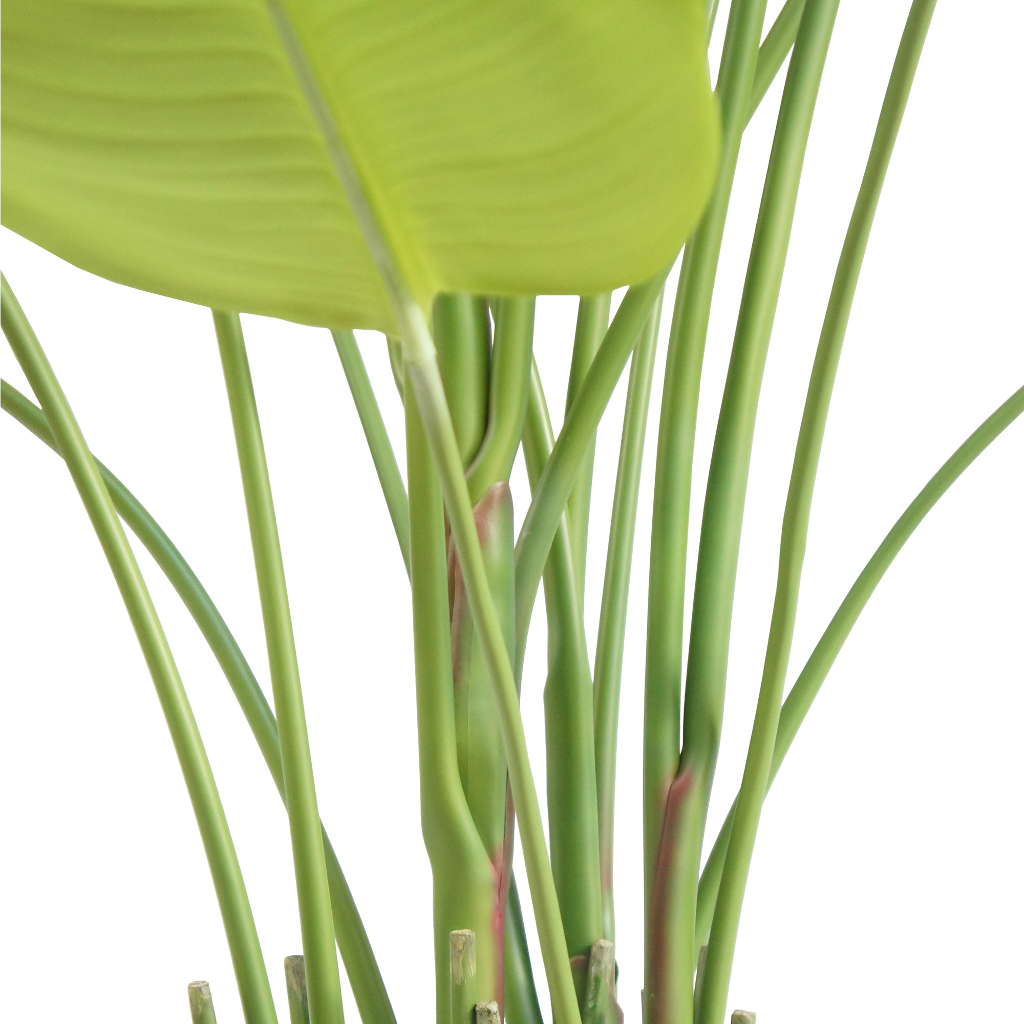 Enlarge Product Preview 3 Successfully Enriched by automation Job.