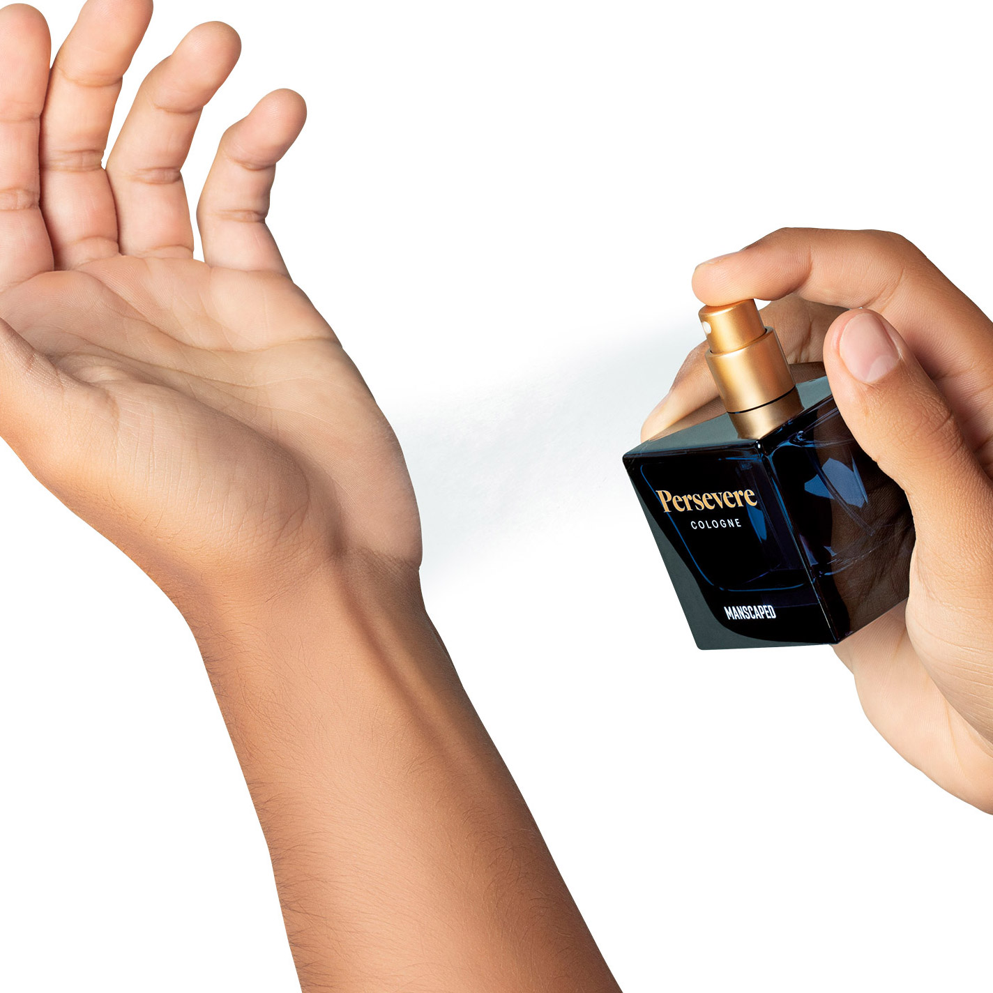 Enlarge Product Preview 8 Successfully Enriched by automation Job.