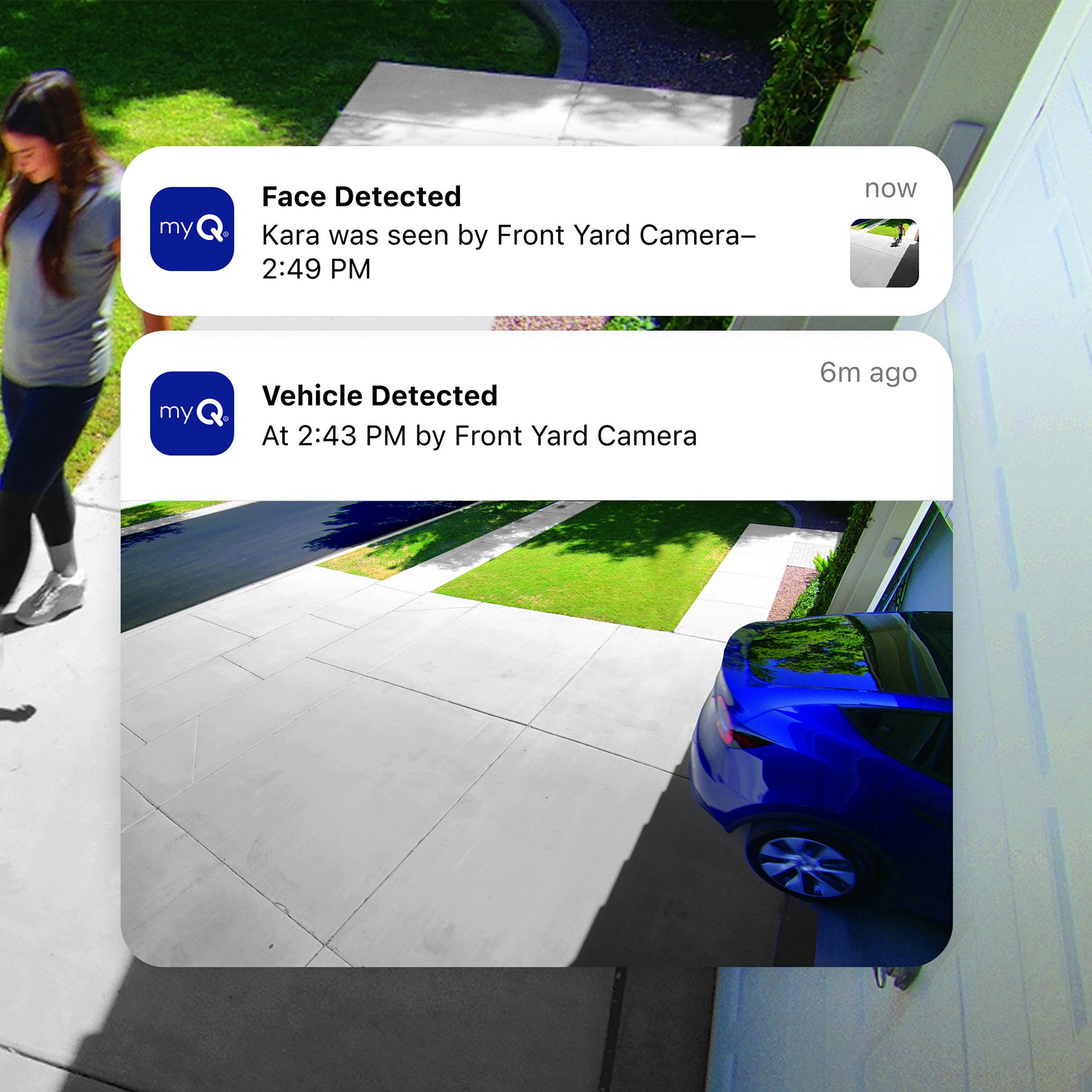 Enlarge Product Preview 6