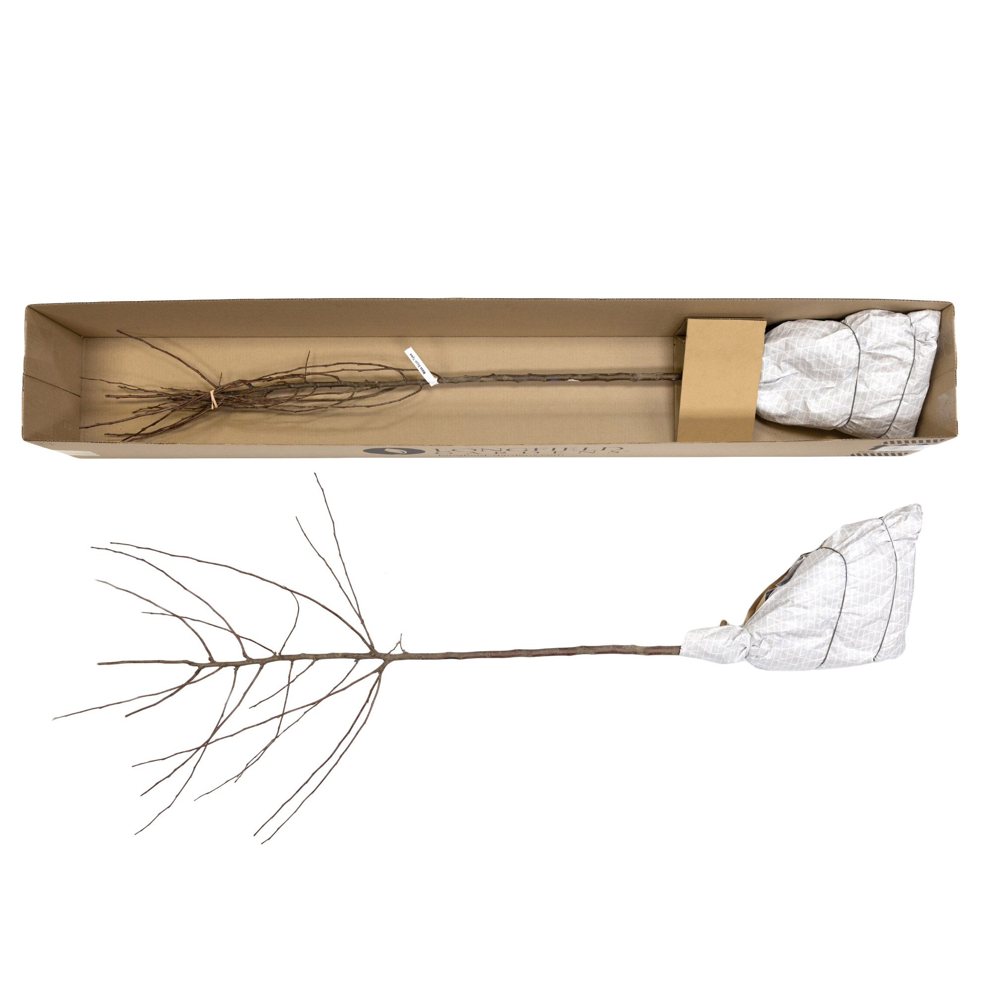 Enlarge Product Preview 5