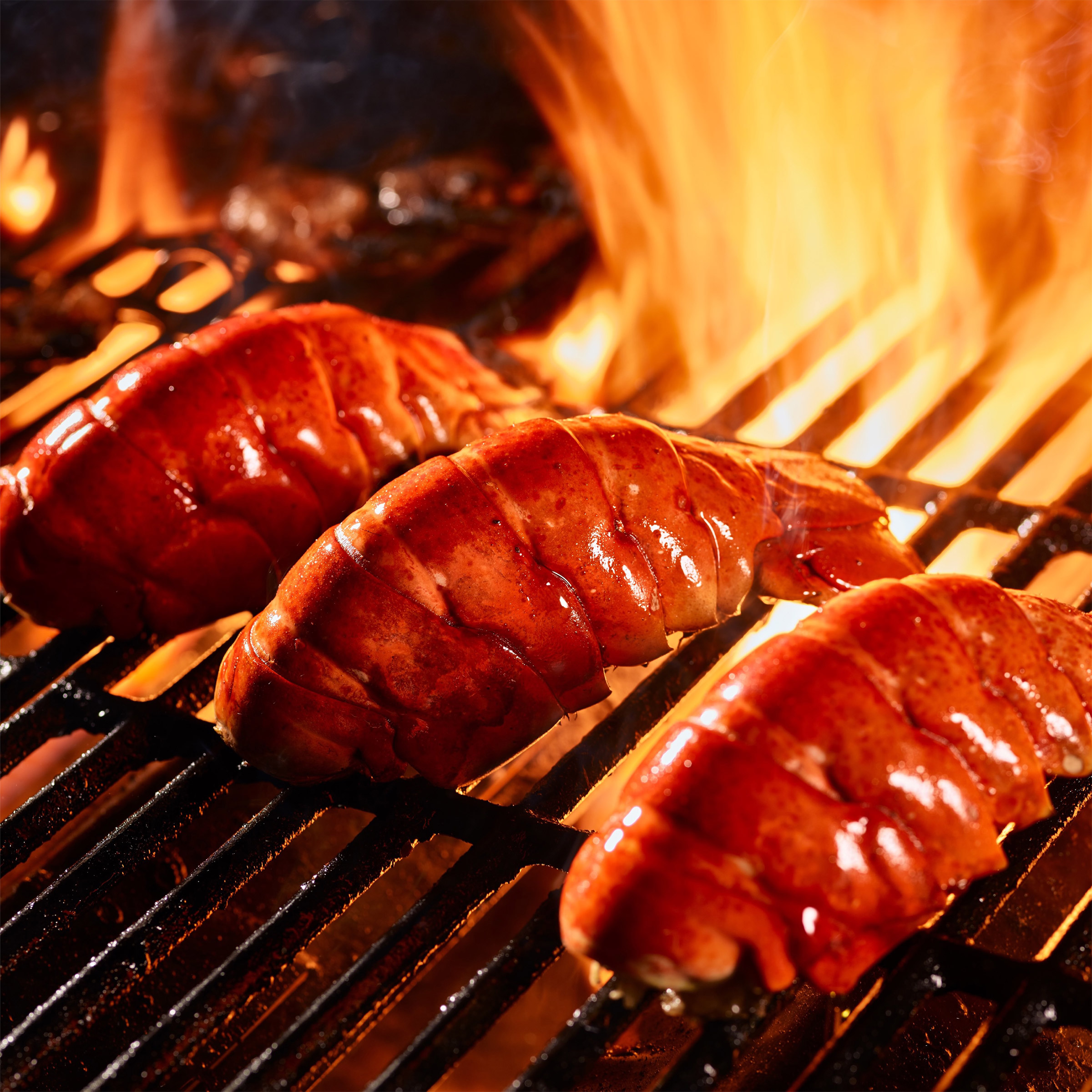 Enlarge Product Preview 4