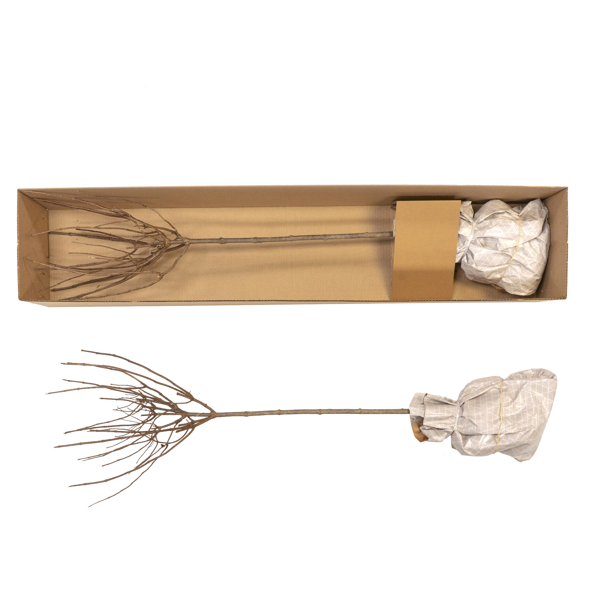 Enlarge Product Preview 2