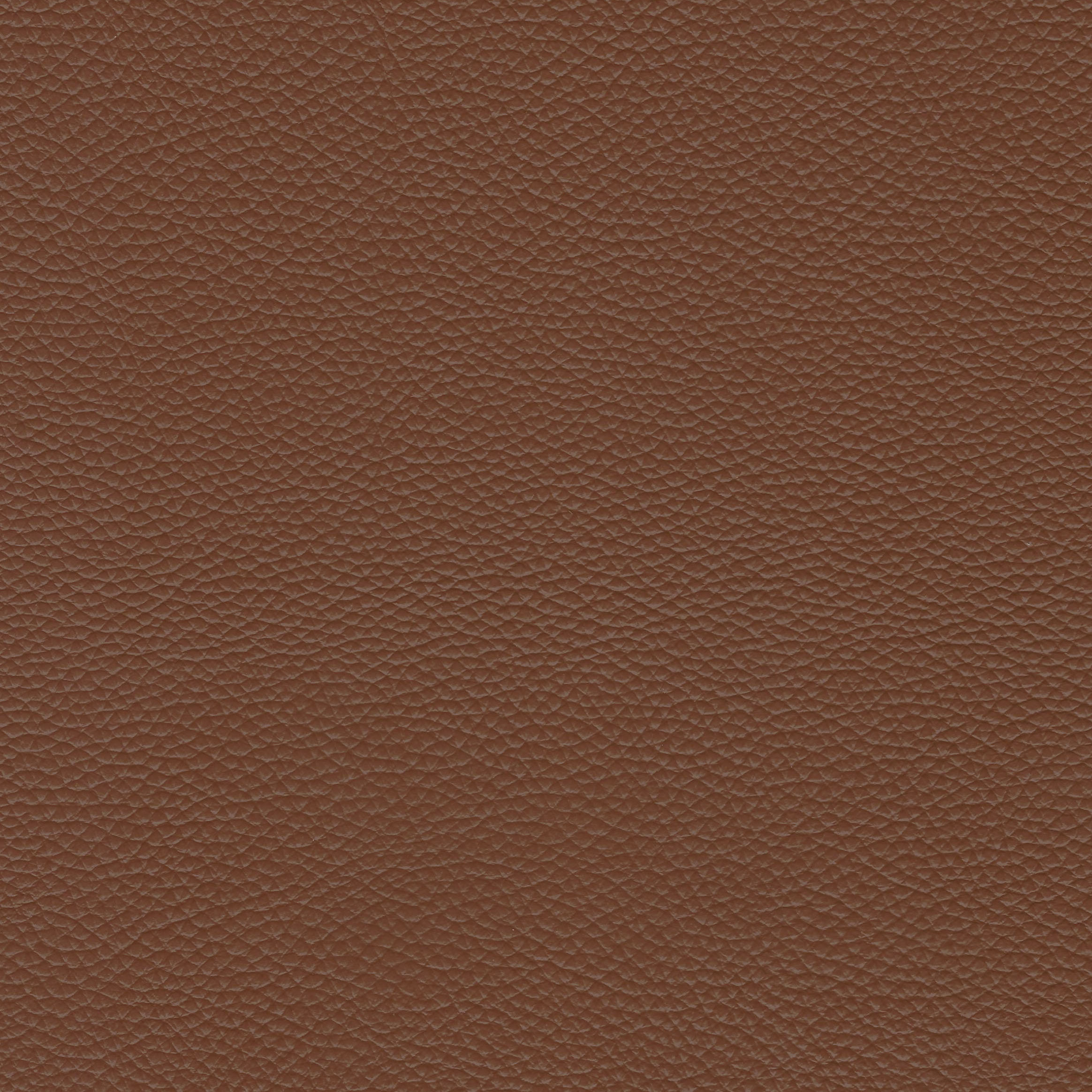 Enlarge Product Preview 8 Successfully Enriched by automation Job.