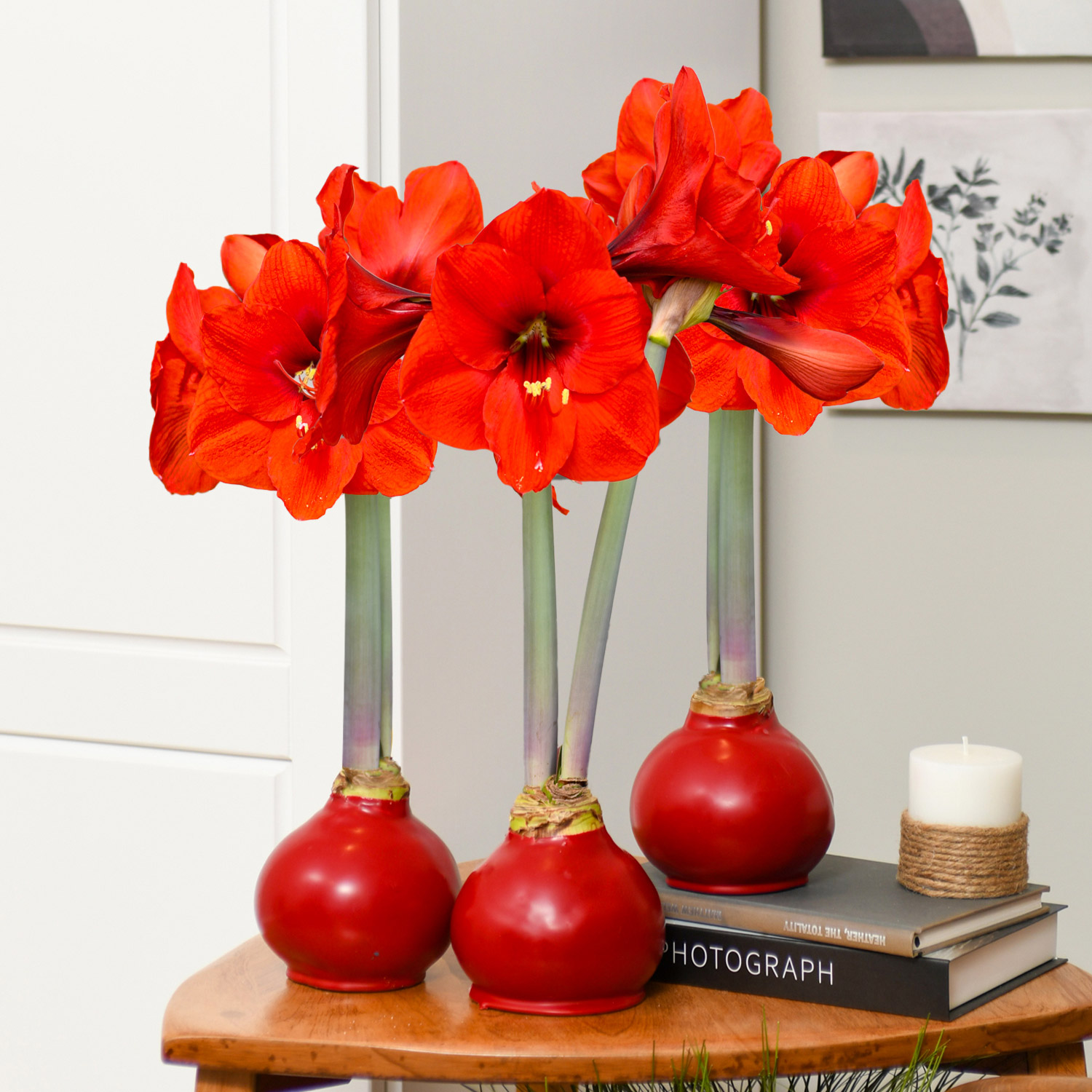 Enlarge Product Preview 3