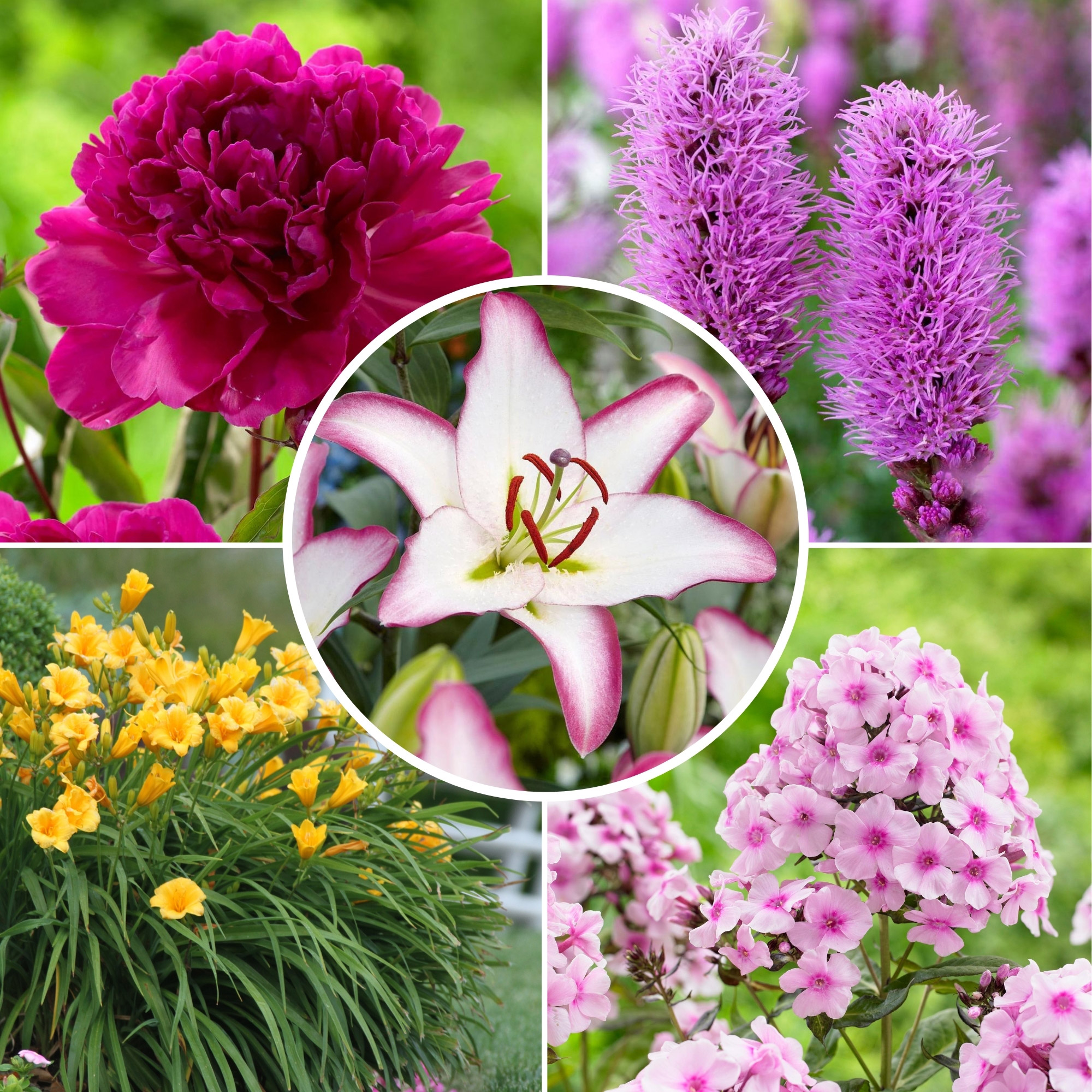 Enlarge Product Preview 7