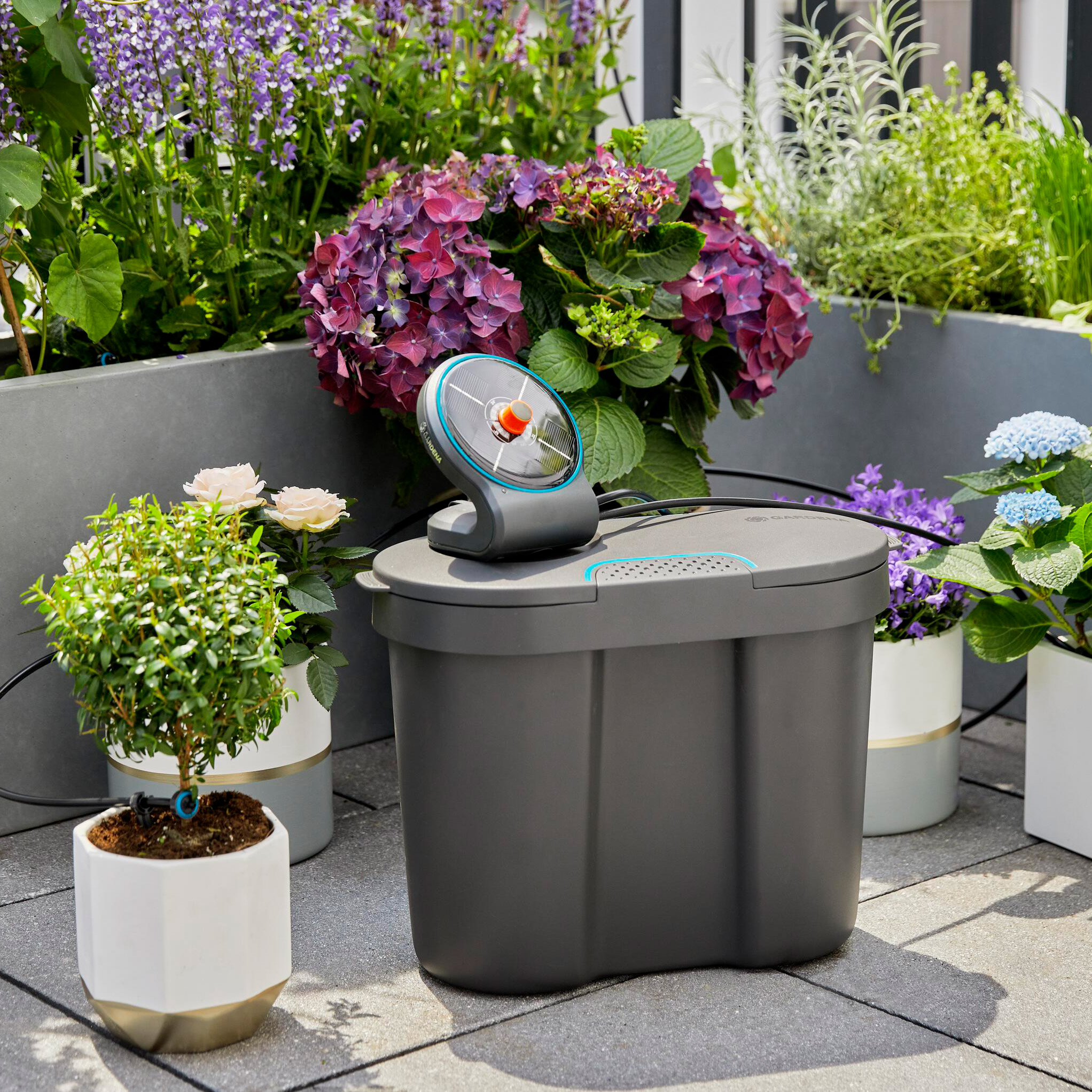 Enlarge Product Preview 3