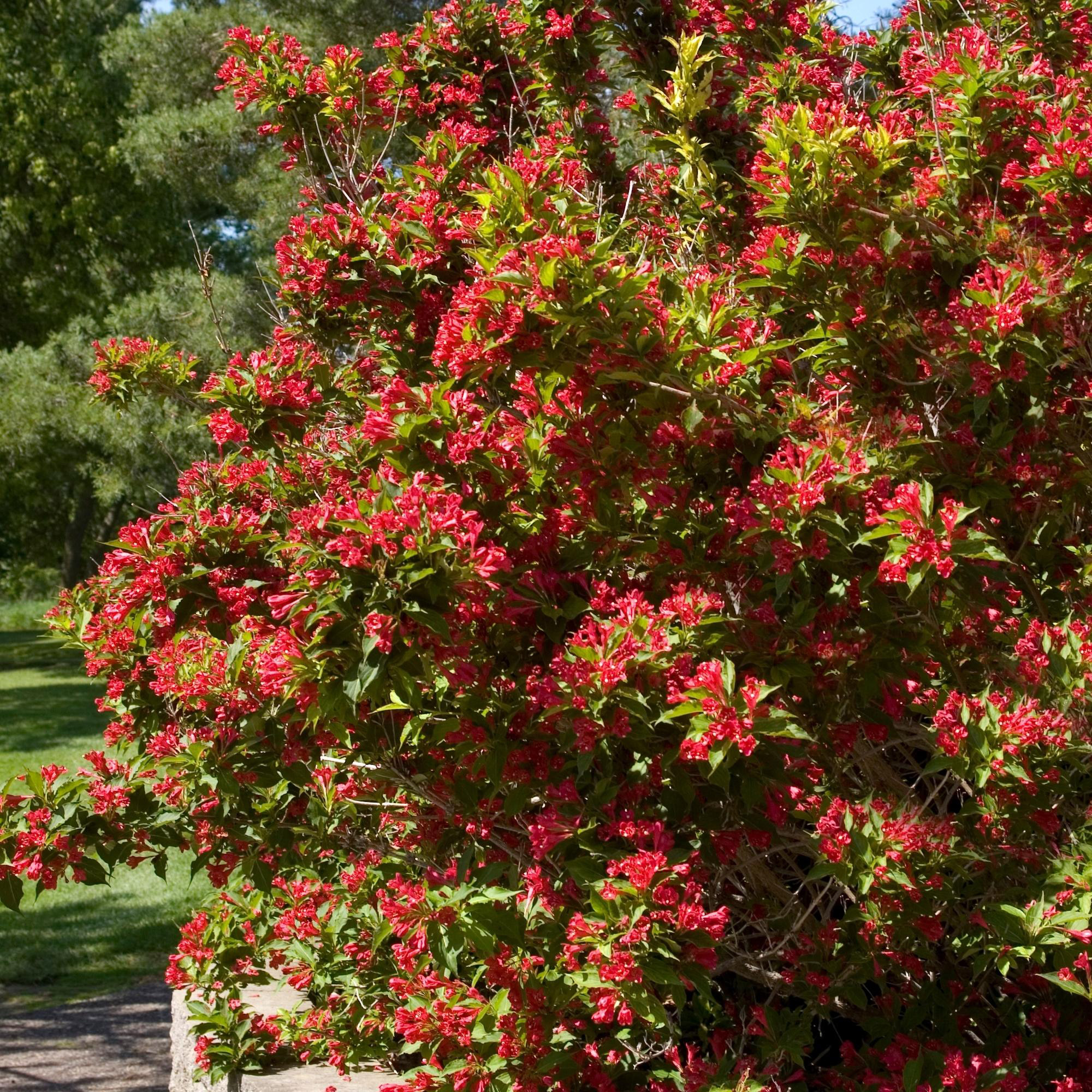 Enlarge Product Preview 3