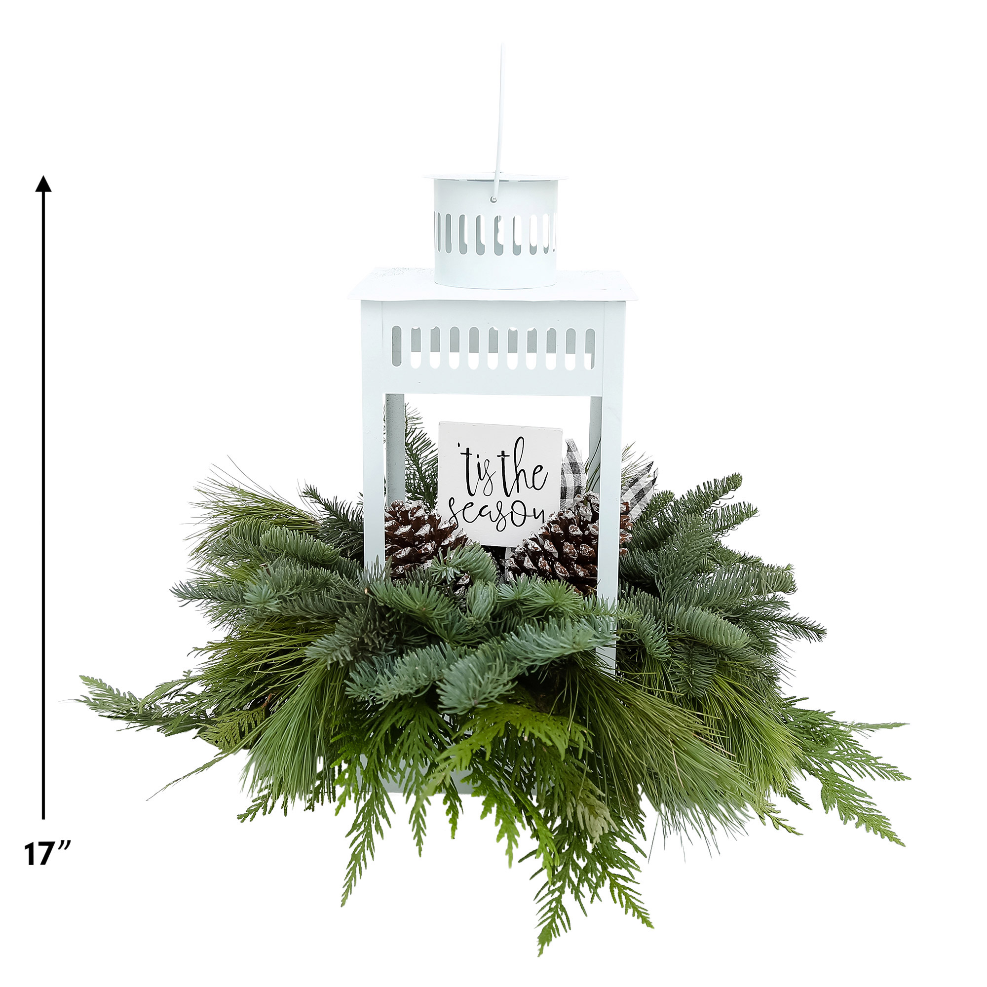 Enlarge Product Preview 5