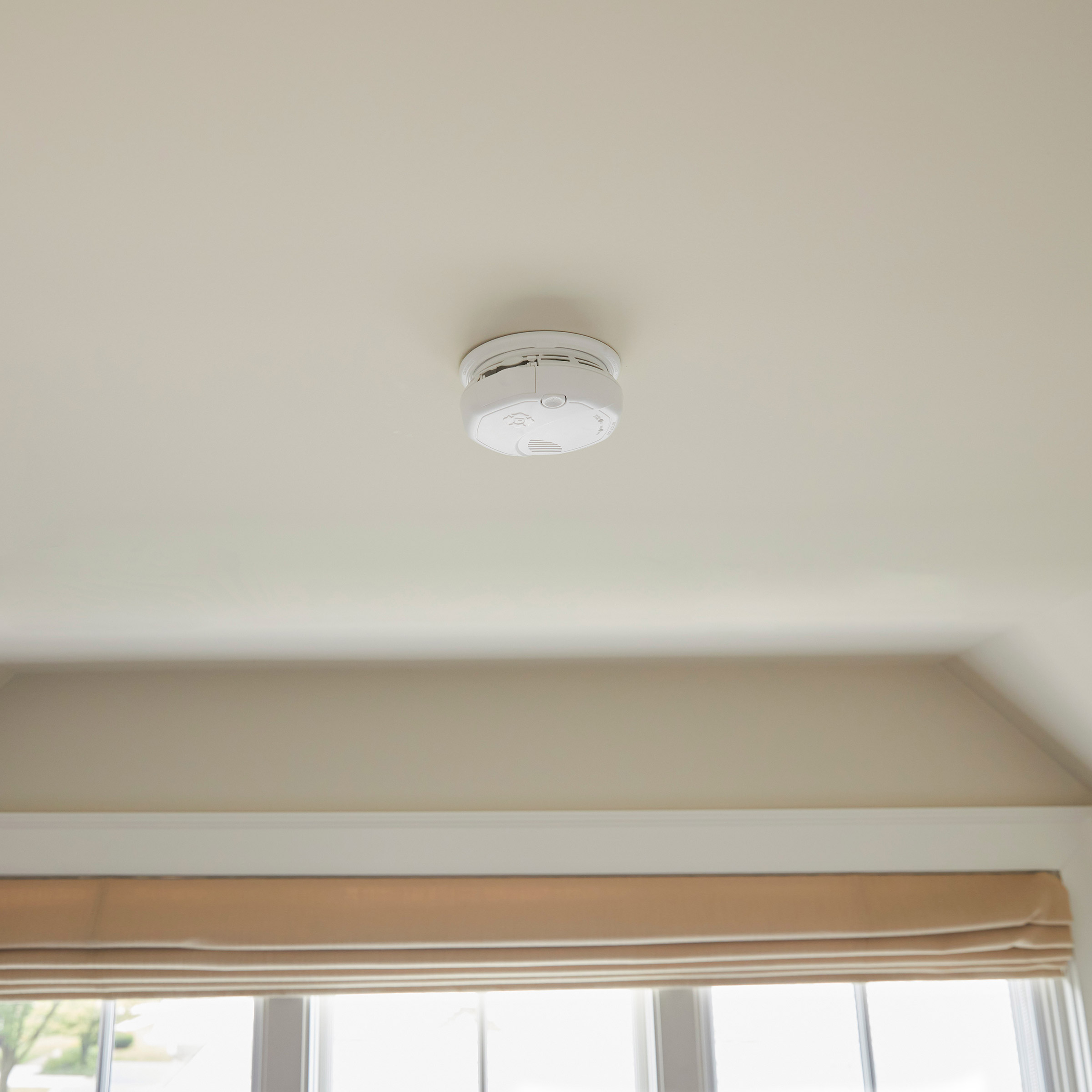 Enlarge Product Preview 5 Successfully Enriched by automation Job.