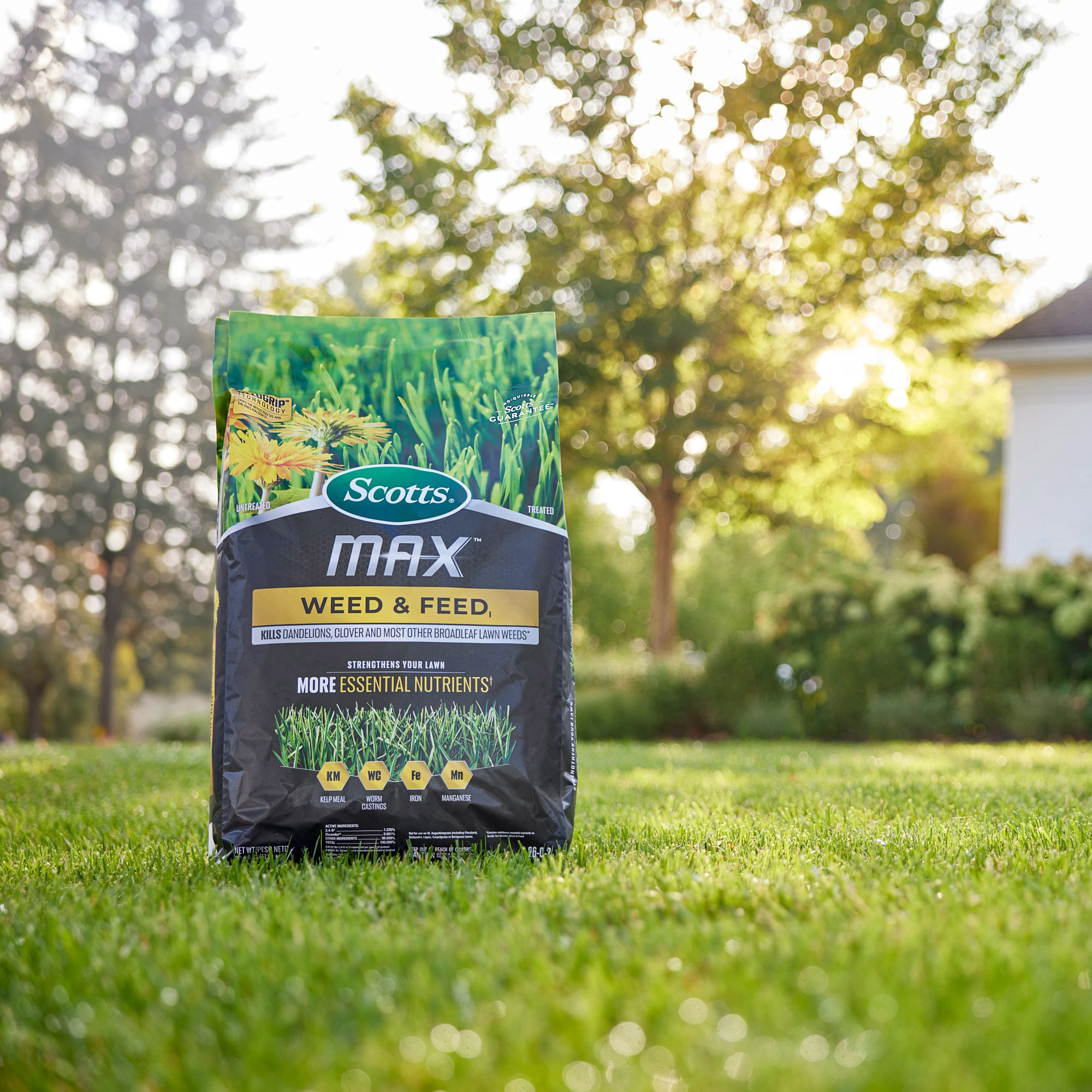 Enlarge Product Preview 3