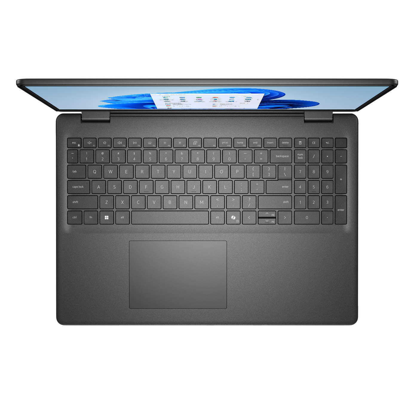 Enlarge Product Preview 4 Successfully Enriched by automation Job.