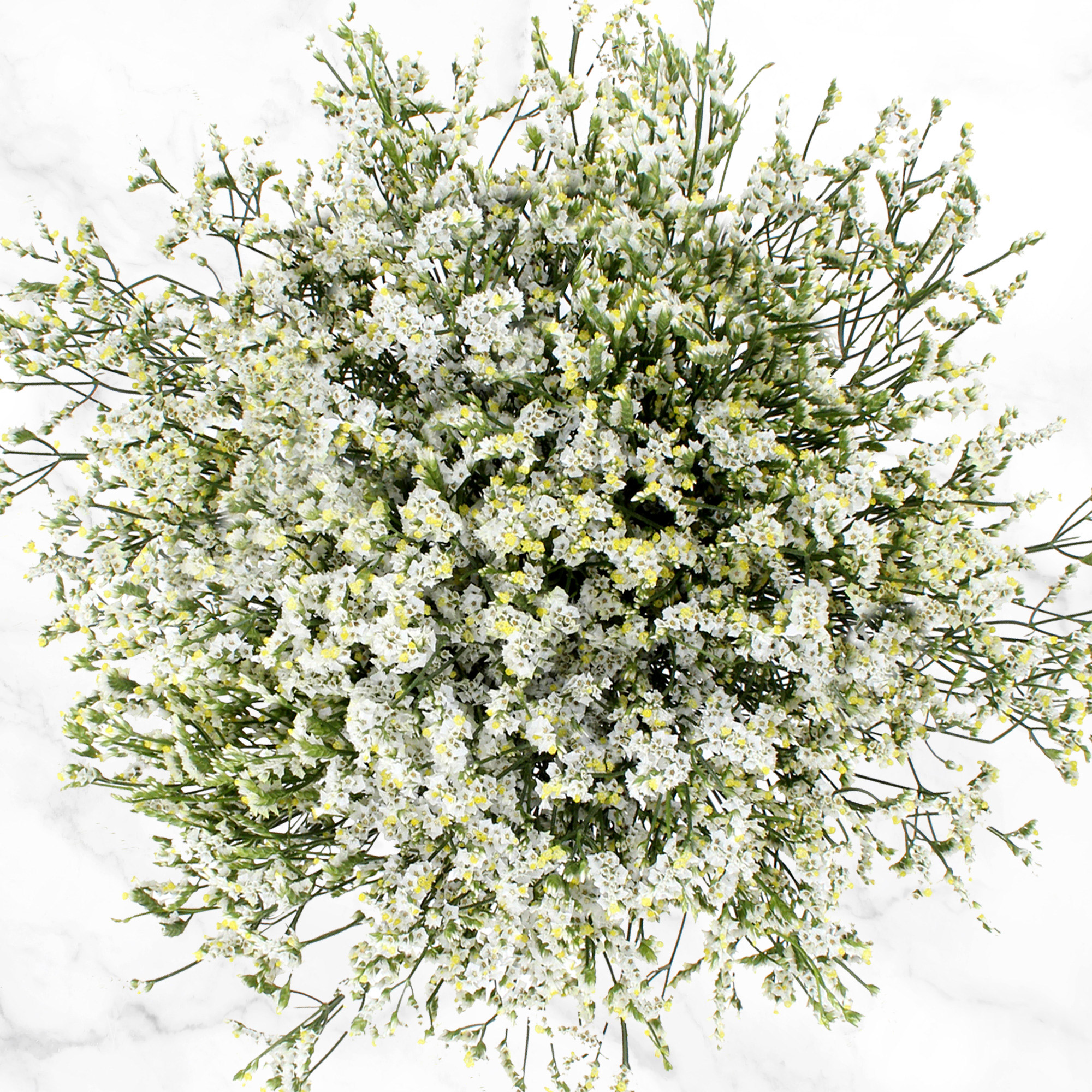 Enlarge Product Preview 5