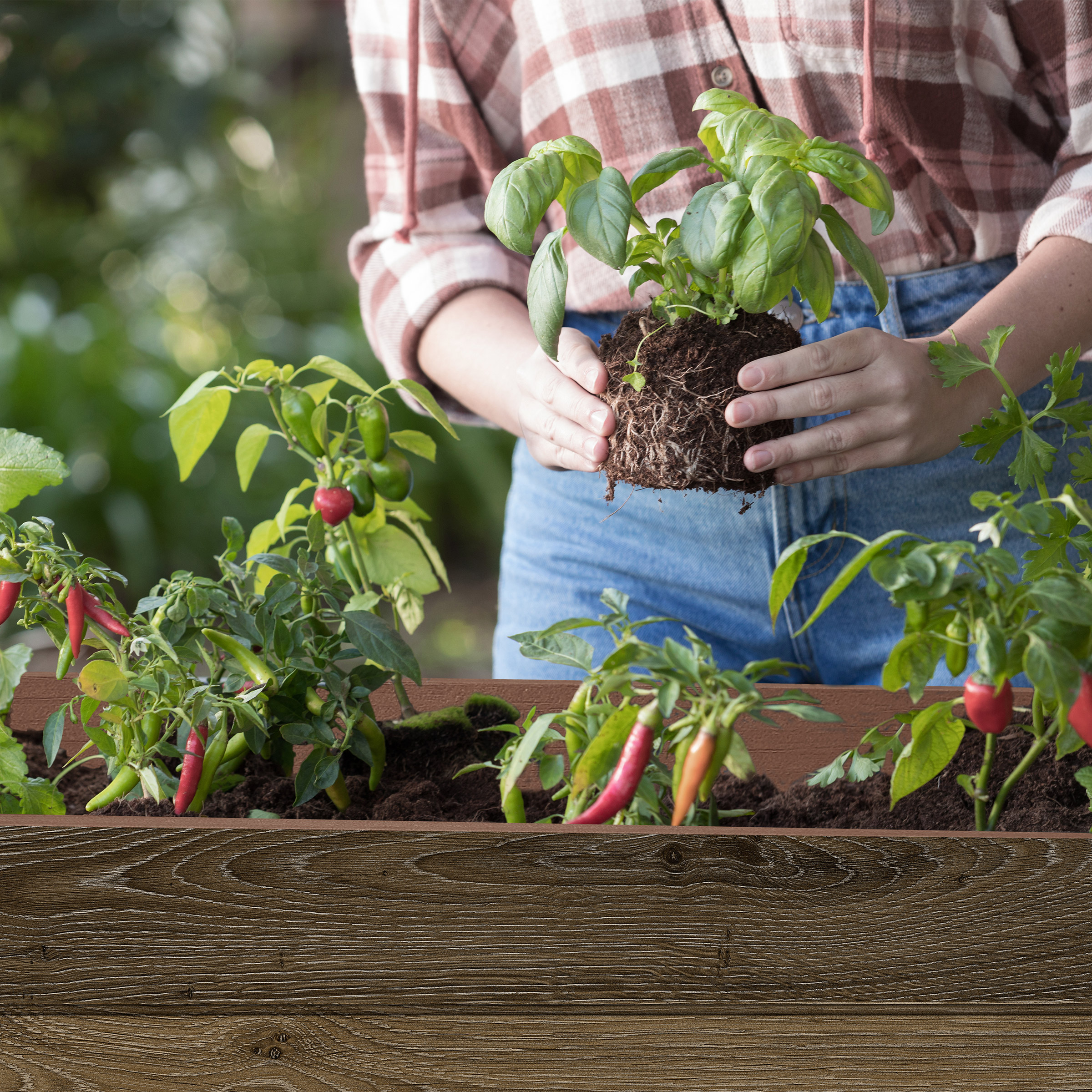 Enlarge Product Preview 6 Successfully Enriched by automation Job.