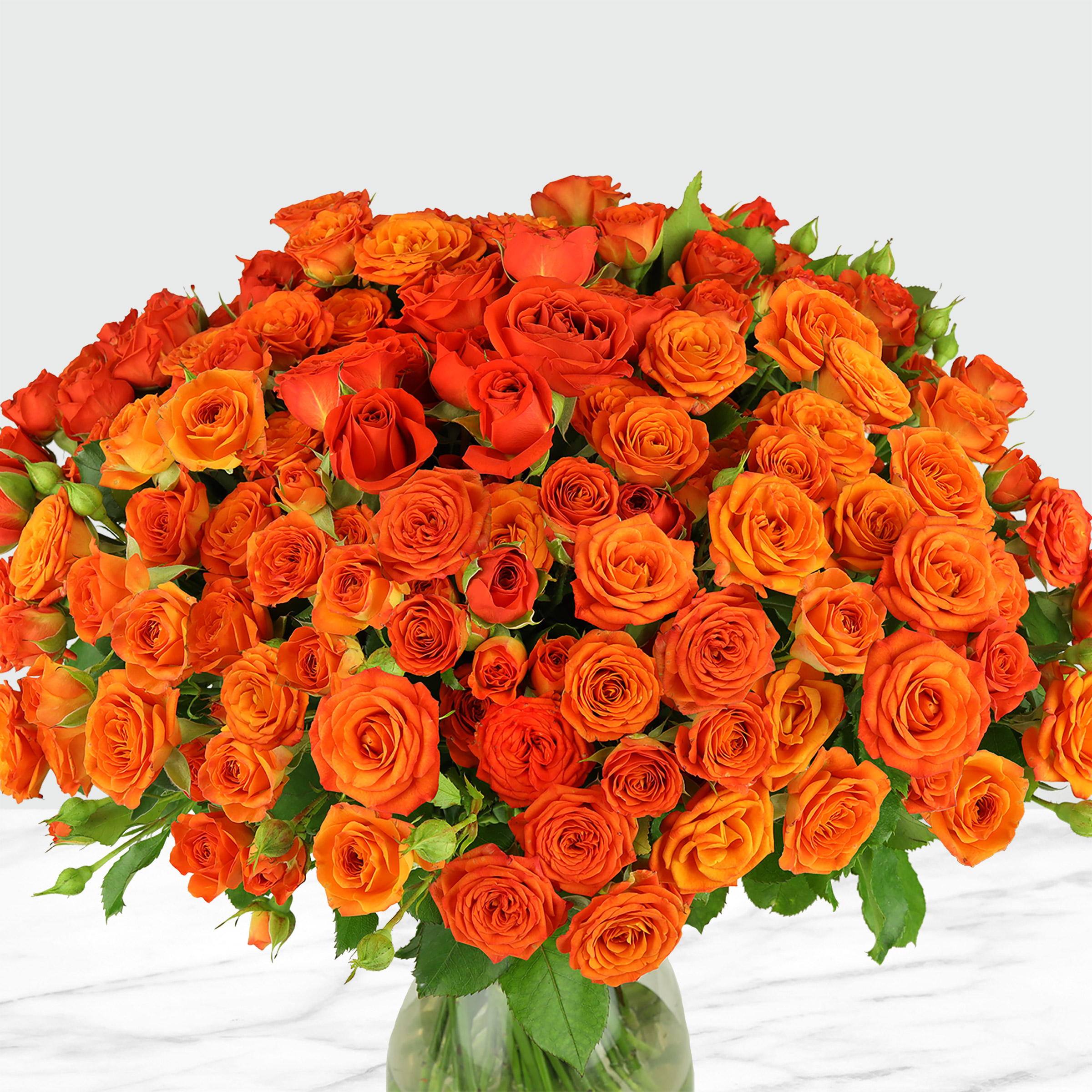 Enlarge Product Preview 2 Successfully Enriched by automation Job.