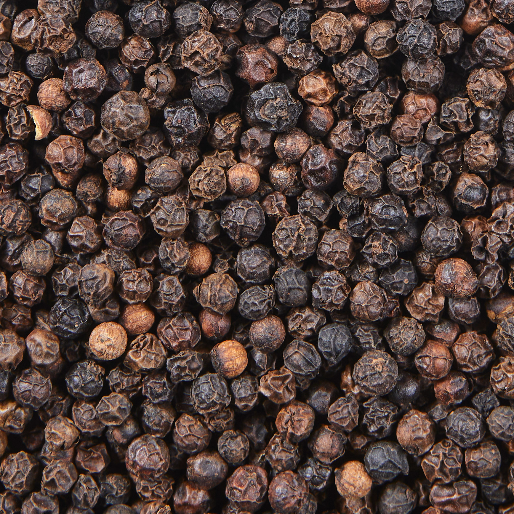 Enlarge Product Preview 4