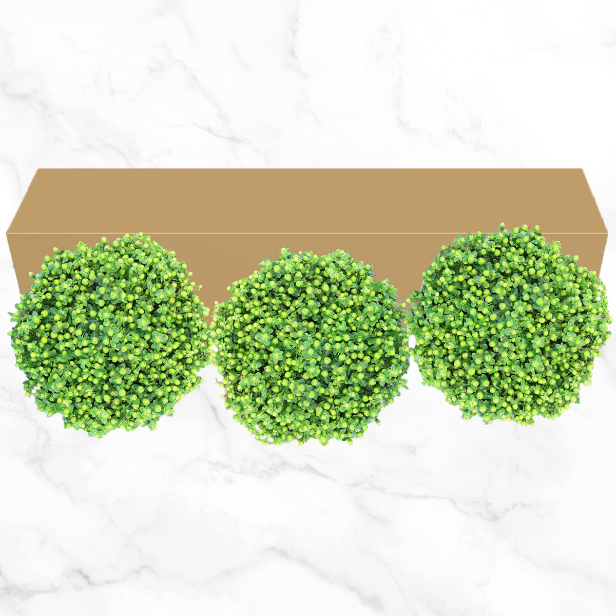 Enlarge Product Preview 2