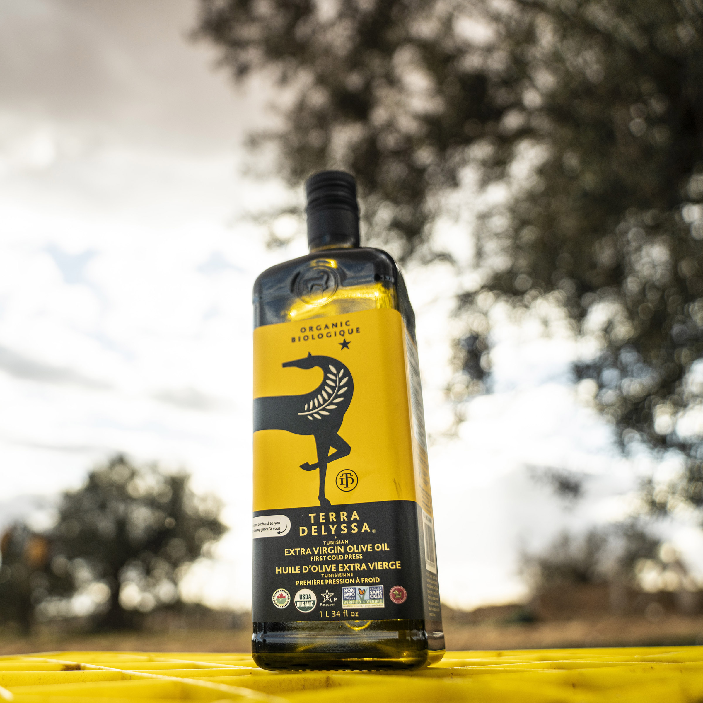 Terra Delyssa Organic Extra Virgin Olive Oil, 2 × 1 L | Costco