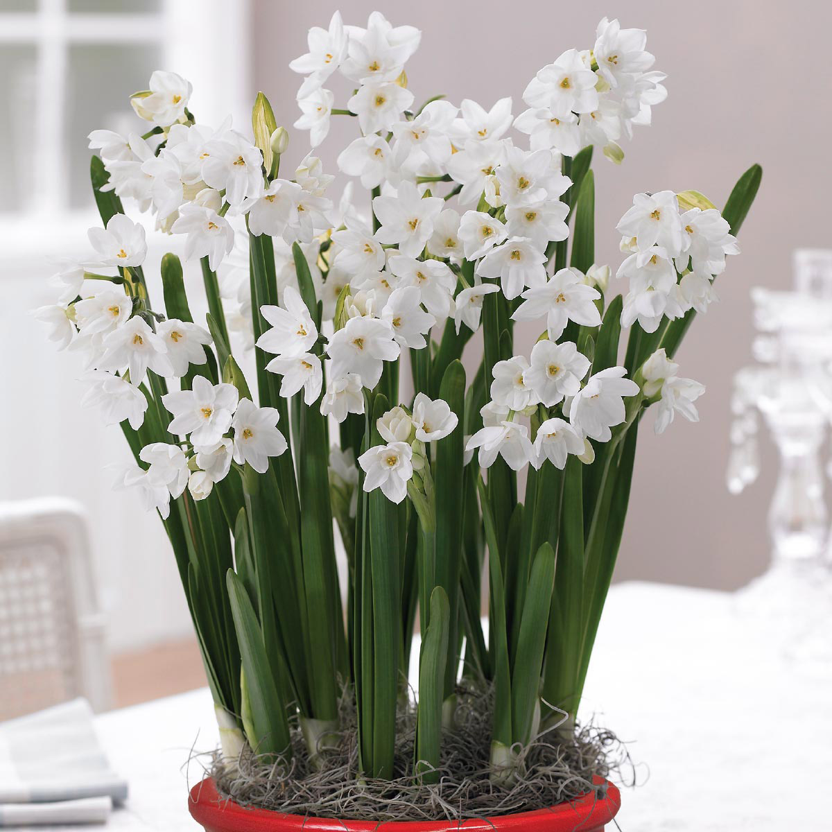 Enlarge Product Preview 2