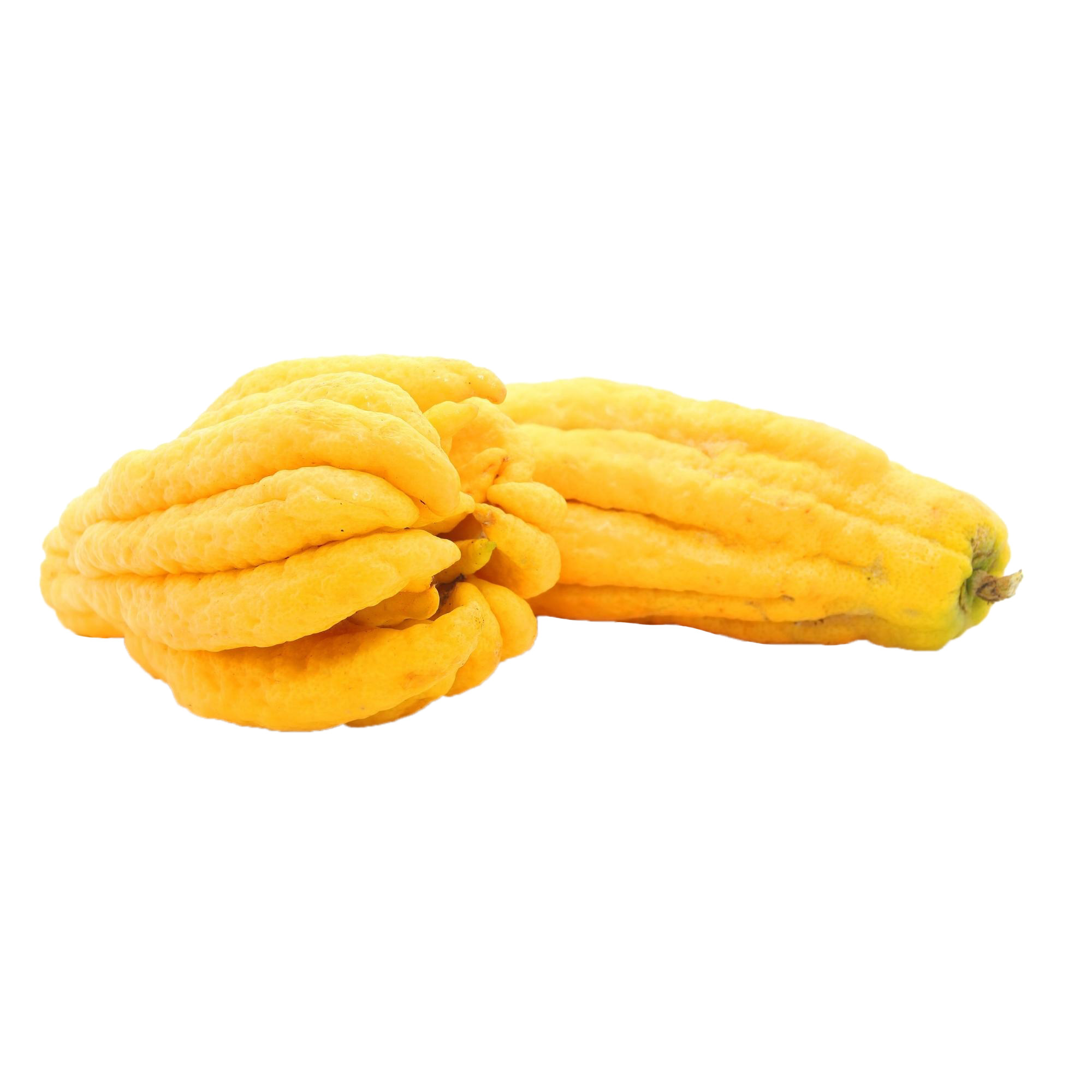 Enlarge Product Preview 3