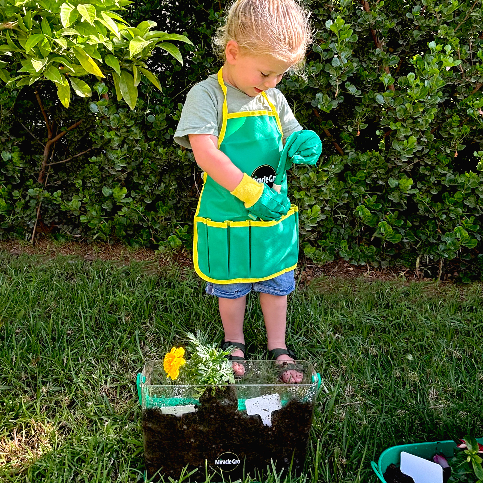 Enlarge Product Preview 4 Successfully Enriched by automation Job.