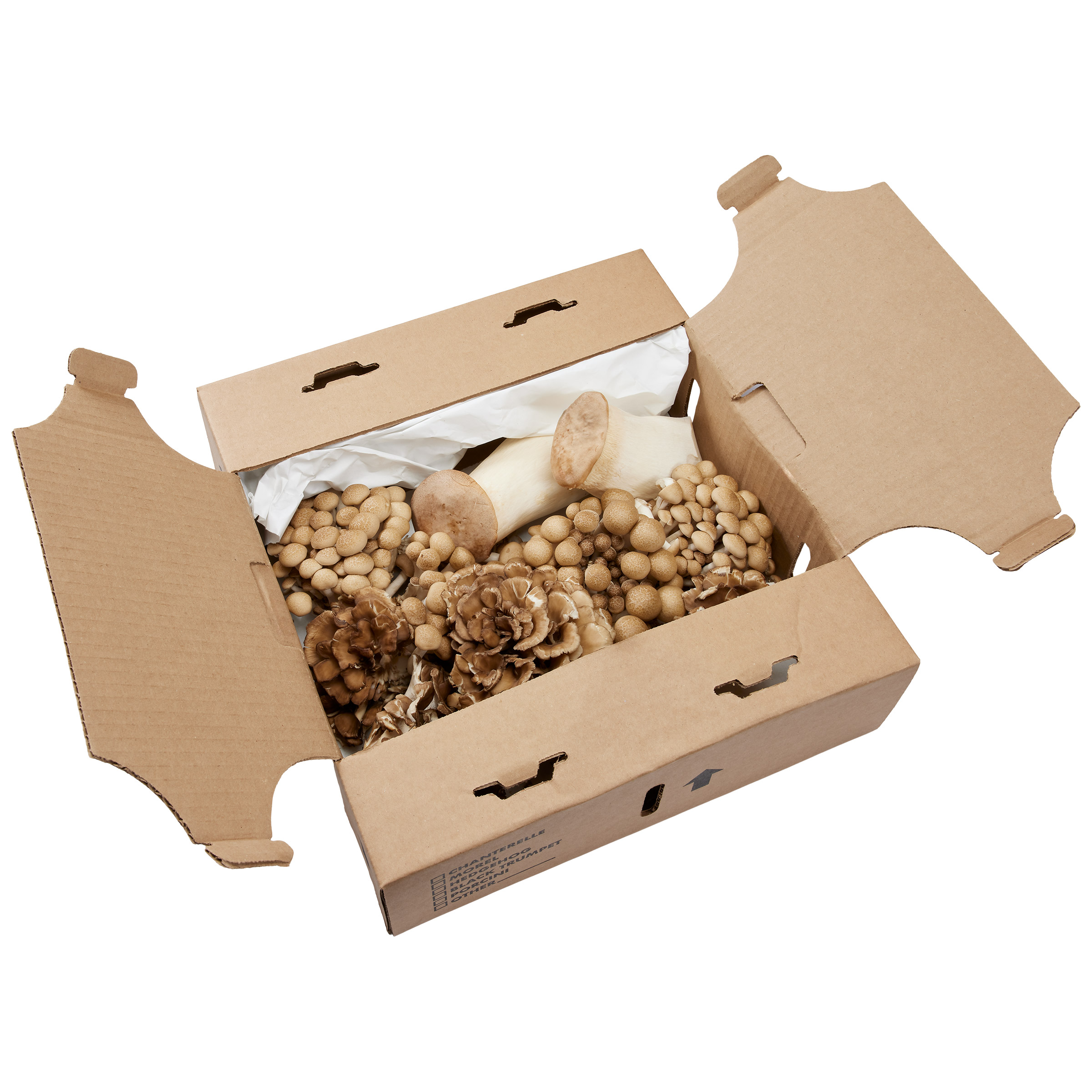 Enlarge Product Preview 2 Successfully Enriched by automation Job.