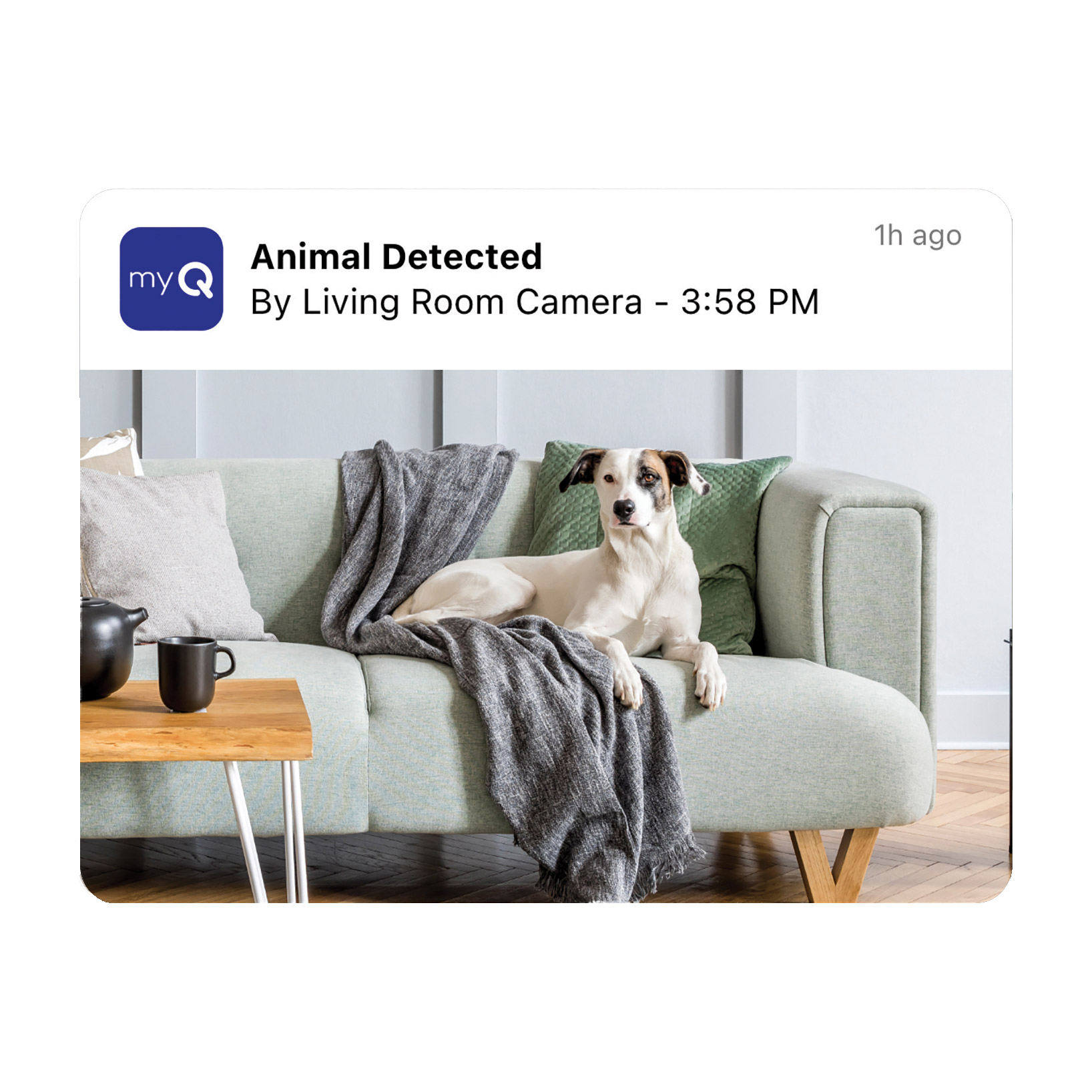 Enlarge Product Preview 7