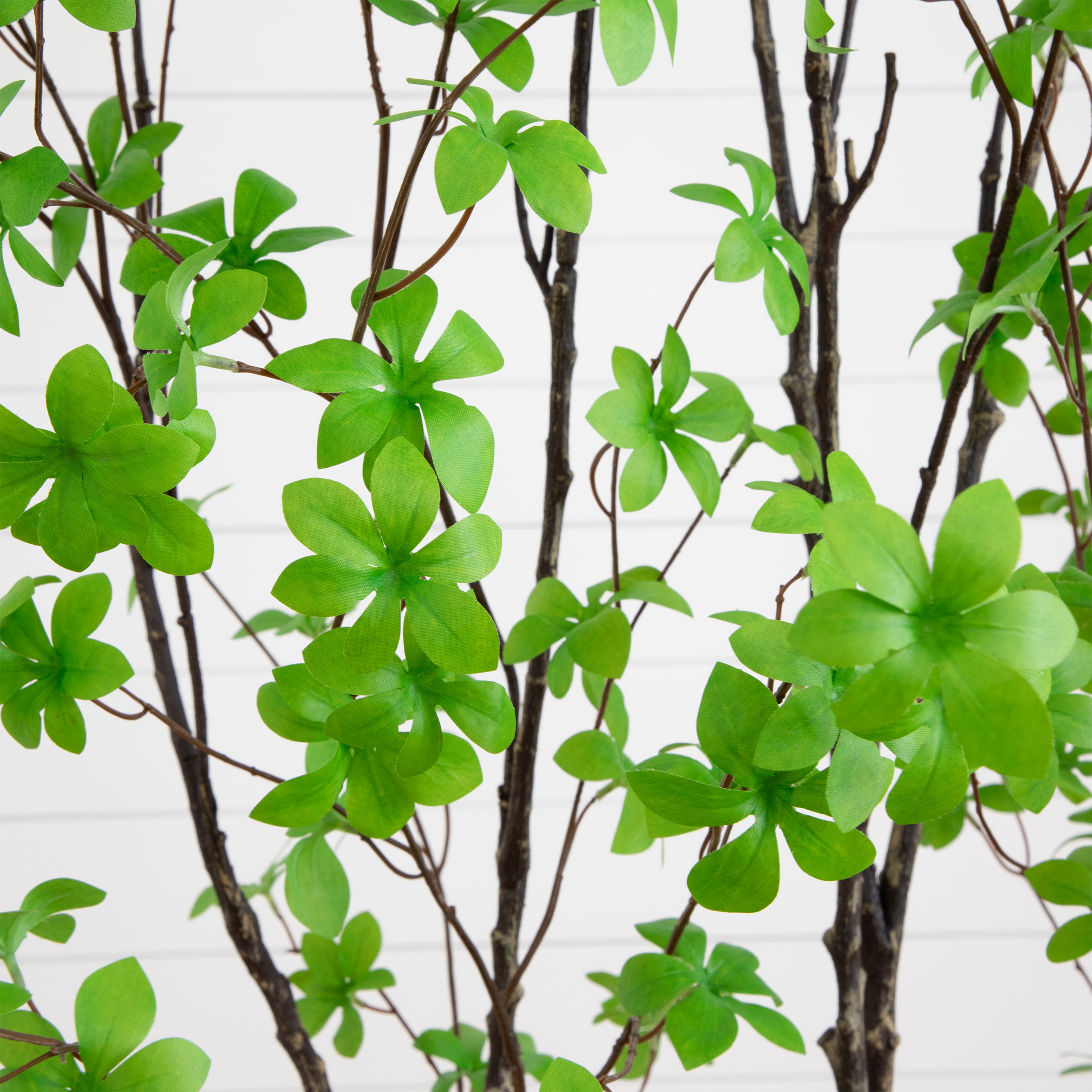 Enlarge Product Preview 4